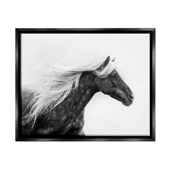 Stupell Industries Horse with White Mane Animals & Insects Photography Black Floater Framed Canvas Art Print Wall Art, 21 x 17