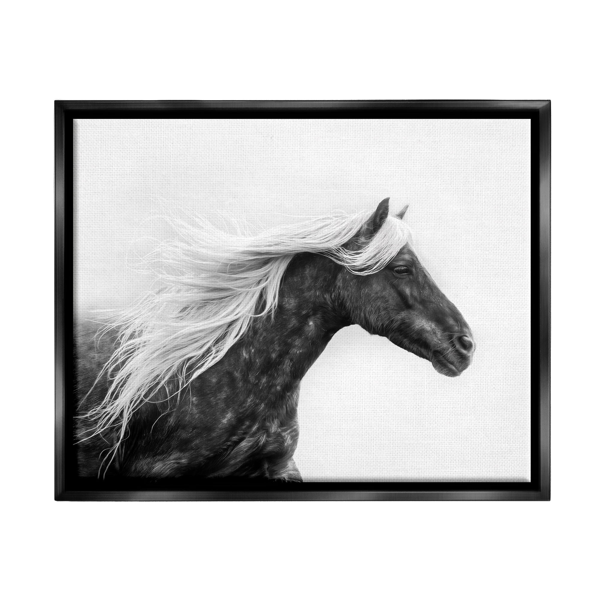 Stupell Industries Horse with White Mane Animals & Insects Photography Black Floater Framed Canvas Art Print Wall Art, 31 x 25