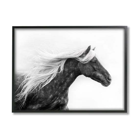 Stupell Industries Horse with White Mane Animals & Insects Photography Black Framed Art Print Wall Art, 14 x 11