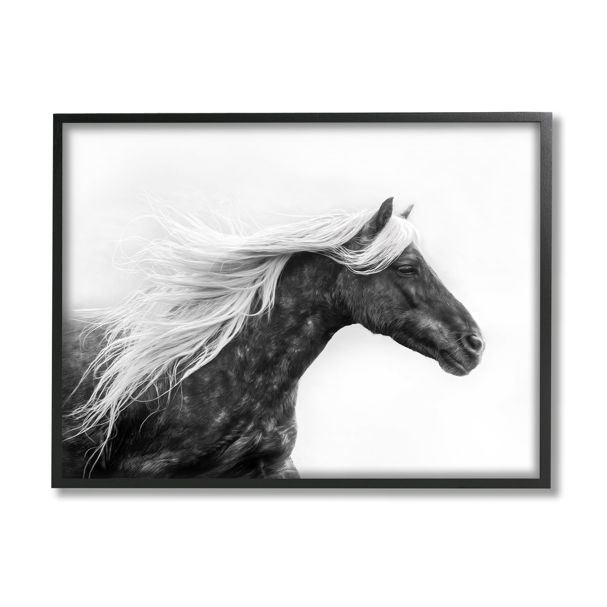 Stupell Industries Horse with White Mane Animals & Insects Photography Black Framed Art Print Wall Art, 20 x 16