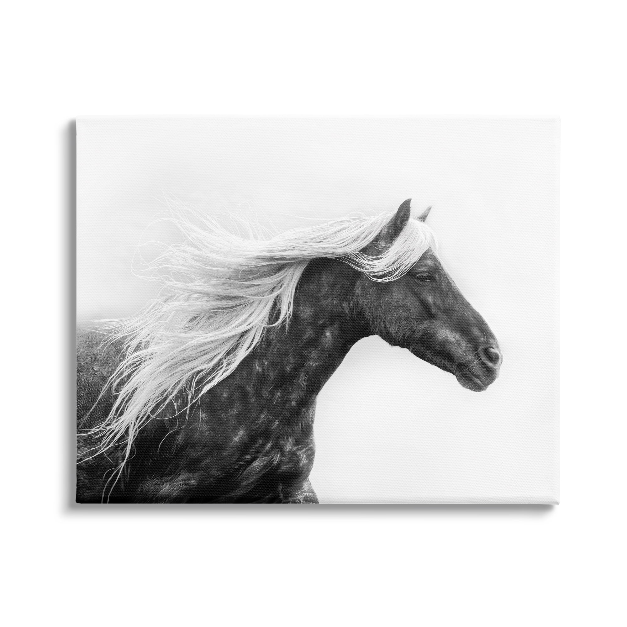 Stupell Industries Horse with White Mane Animals & Insects Photography Gallery Wrapped Canvas Art Print Wall Art, 30 x 24