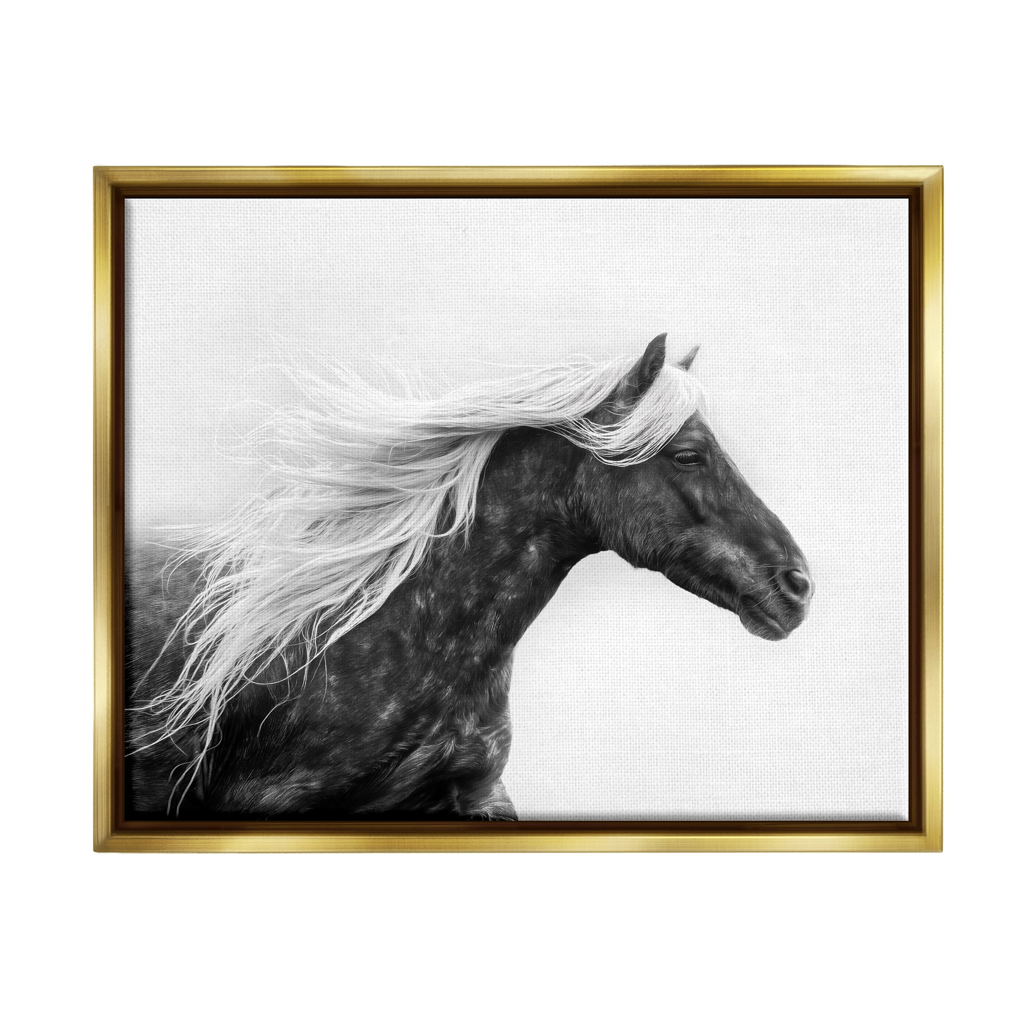 Stupell Industries Horse with White Mane Animals & Insects Photography Gold Floater Framed Canvas Art Print Wall Art, 31 x 25