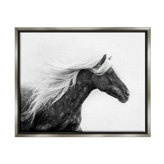 Stupell Industries Horse with White Mane Animals & Insects Photography Gray Floater Framed Canvas Art Print Wall Art, 21 x 17