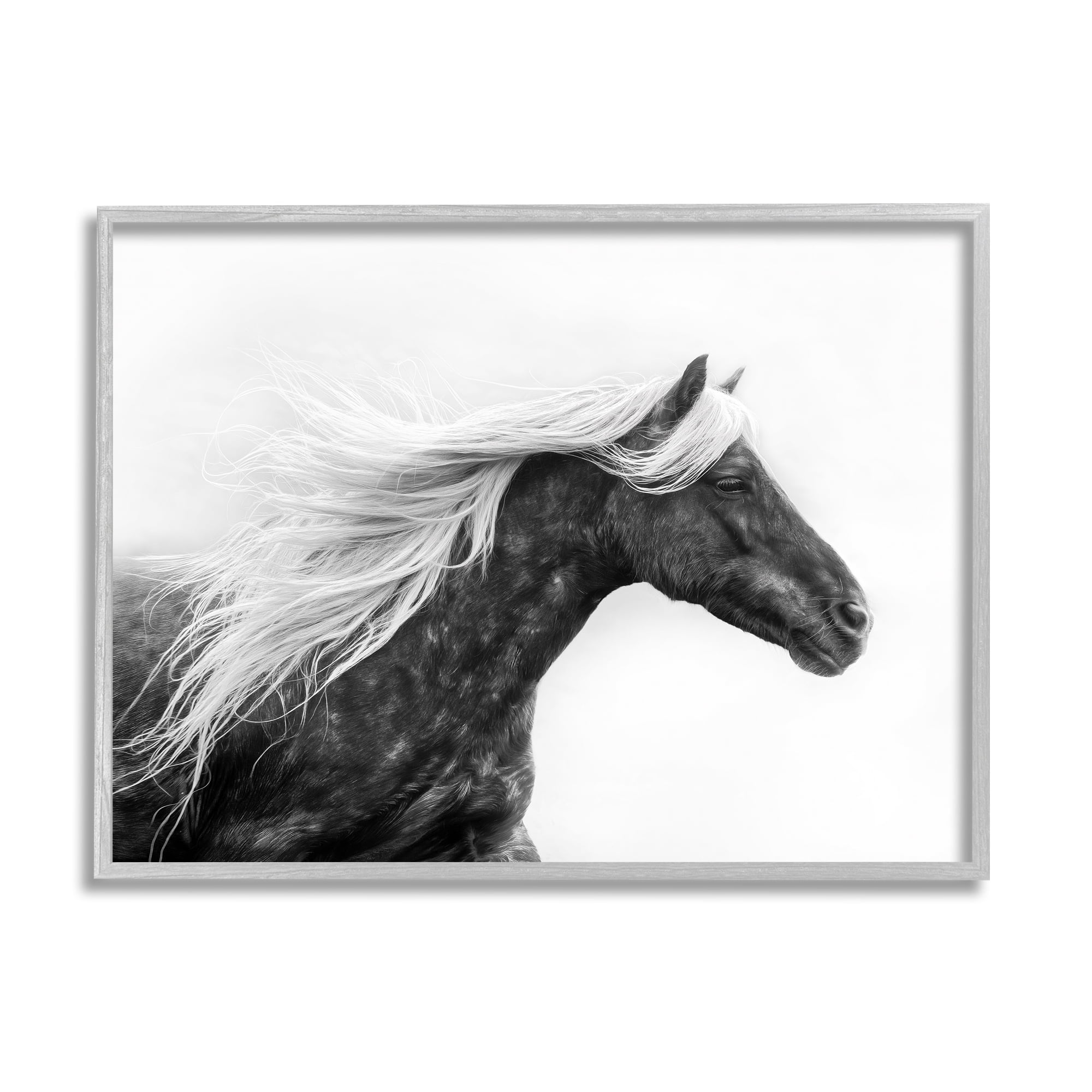 Stupell Industries Horse with White Mane Animals & Insects Photography Gray Framed Art Print Wall Art, 14 x 11