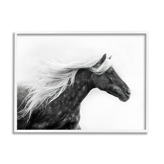 Stupell Industries Horse with White Mane Animals & Insects Photography White Framed Art Print Wall Art, 20 x 16