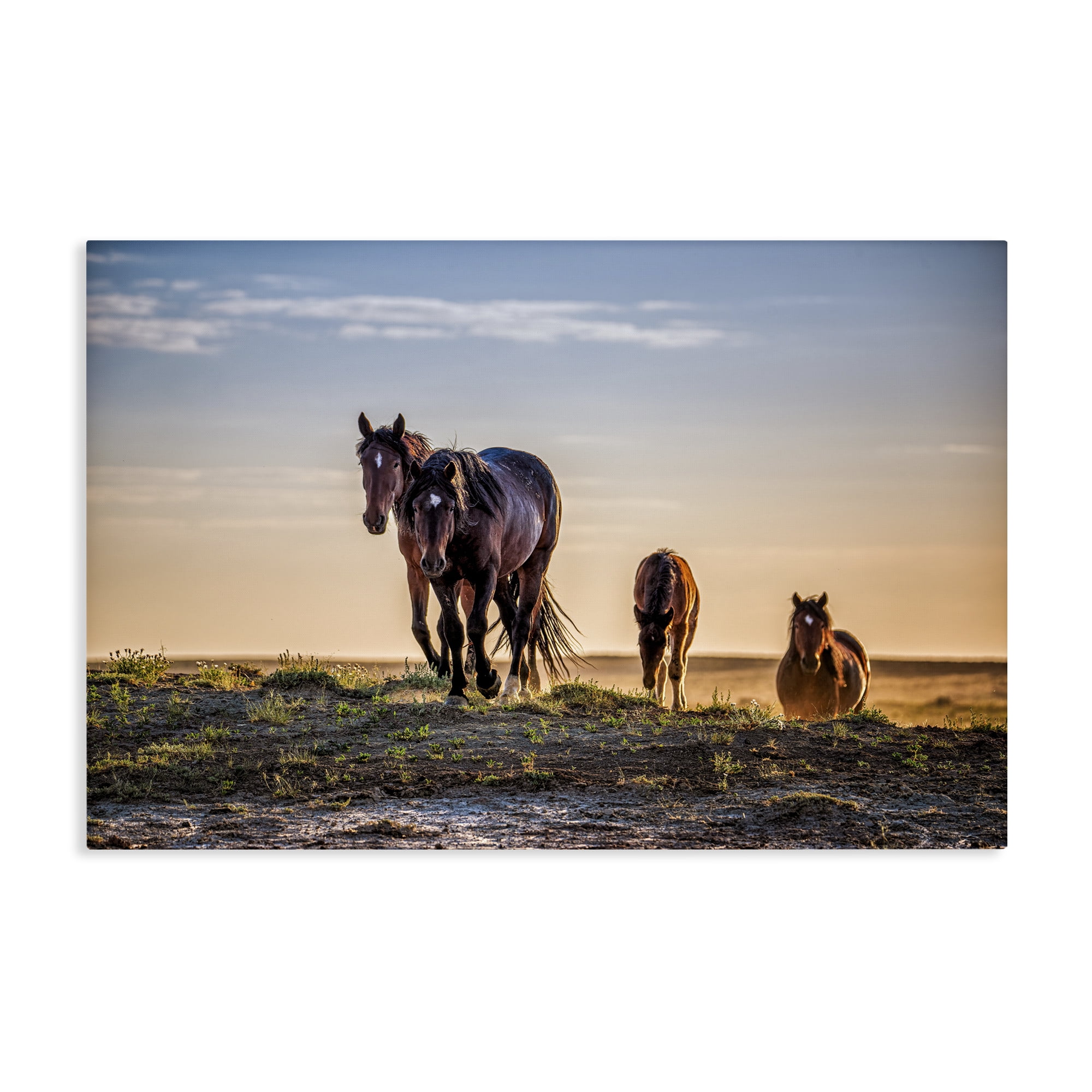 Stupell Industries Horses Coming Home Canvas Wall Art, design by Tim West