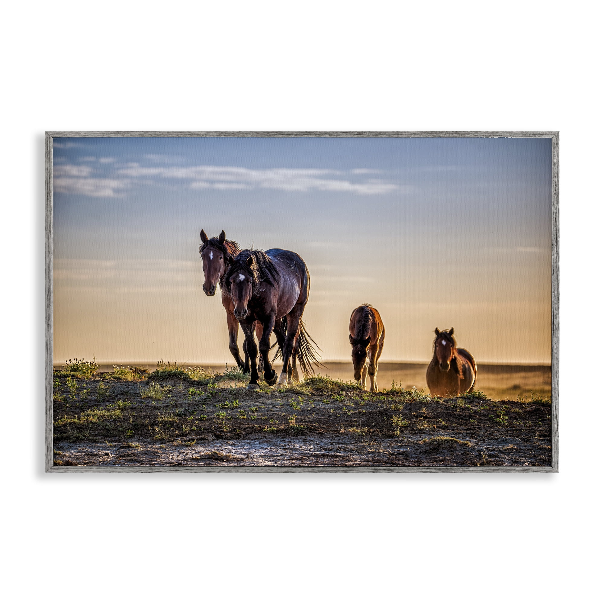 Stupell Industries Horses Coming Home Gray Framed Giclee Art, design by Tim West