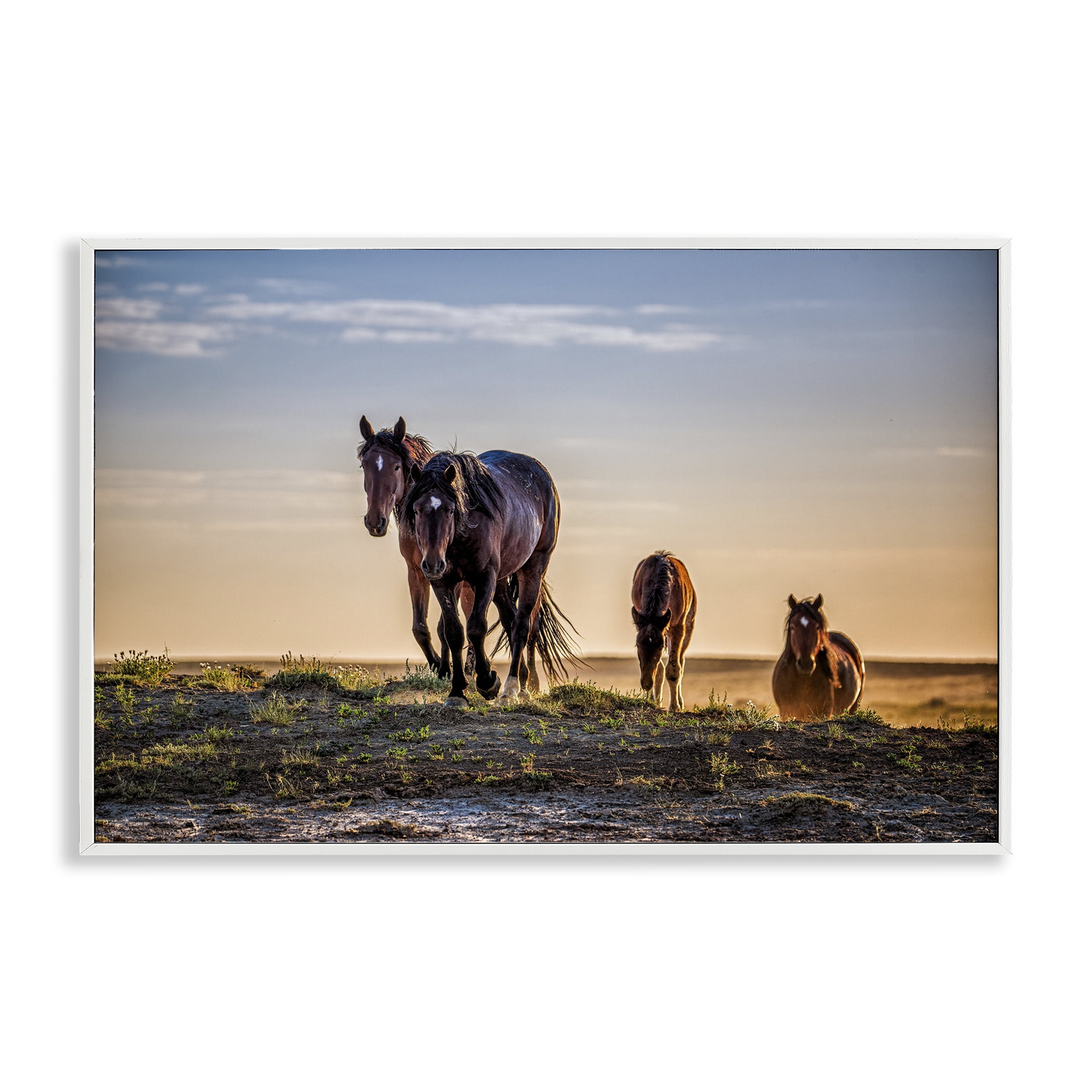 Stupell Industries Horses Coming Home White Framed Giclee Art, design by Tim West
