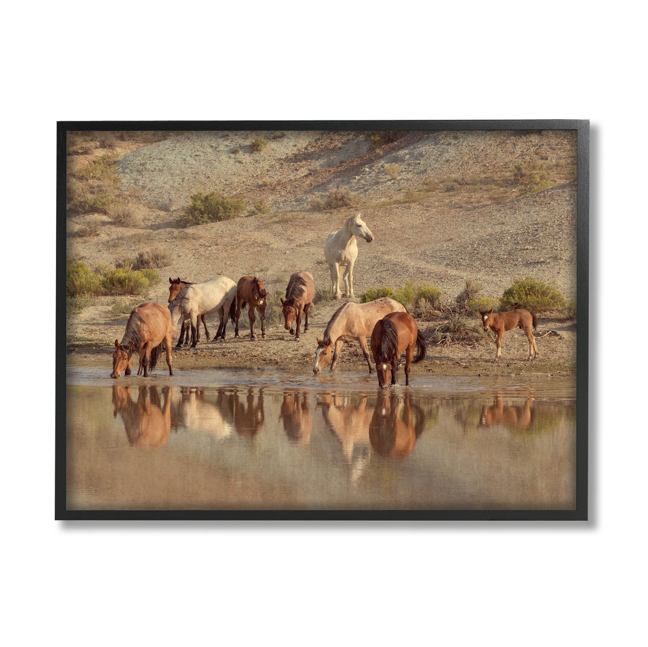 Stupell Industries Horses Drinking Countryside Photograph Black Framed Art Print Wall Art, Design by Jan Walters