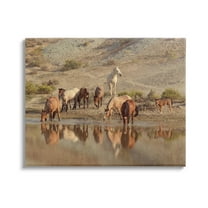 Stupell Industries Horses Drinking Countryside Photograph Gallery Wrapped Canvas Print Wall Art, Design by Jan Walters