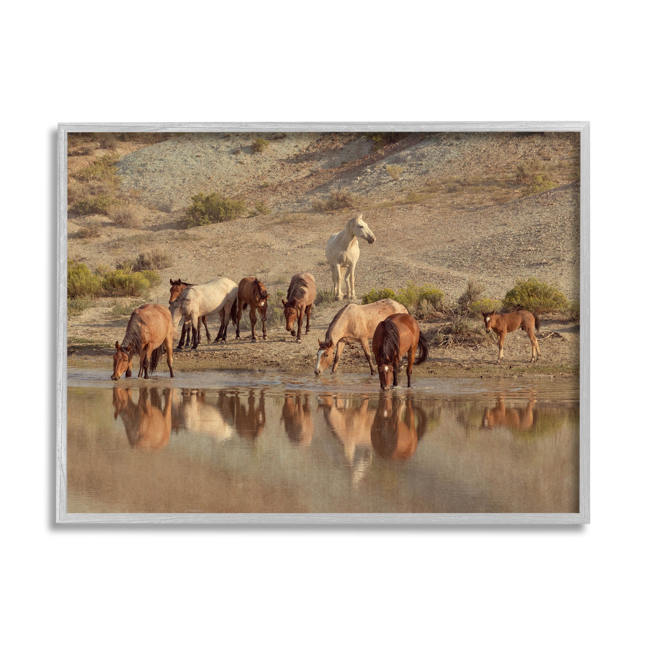 Stupell Industries Horses Drinking Countryside Photograph Gray Framed Art Print Wall Art, Design by Jan Walters