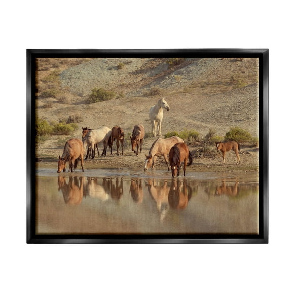 Stupell Industries Horses Drinking Countryside Photograph Jet Black Floating Framed Canvas Print Wall Art, Design by Jan Walters
