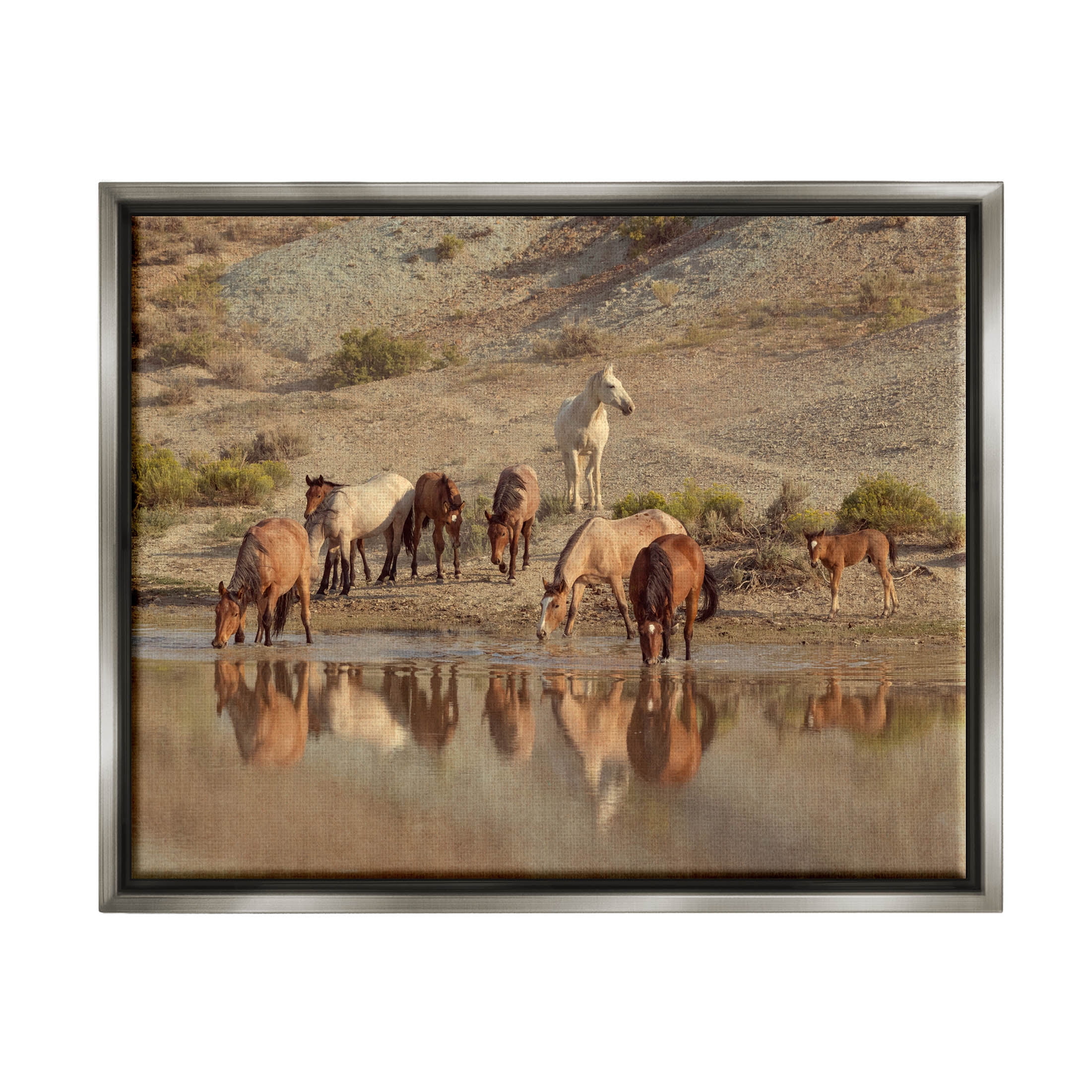 Stupell Industries Horses Drinking Countryside Photograph Luster Gray Floating Framed Canvas Print Wall Art, Design by Jan Walters