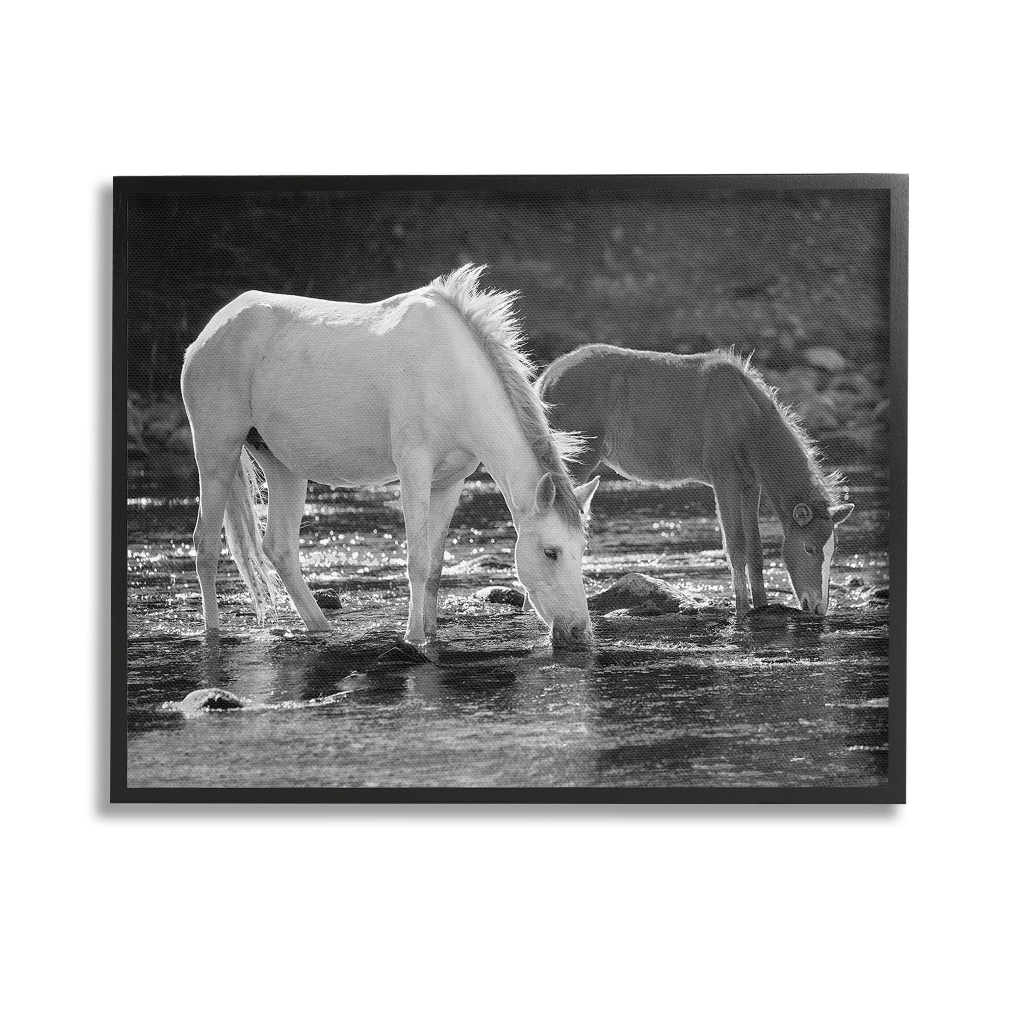 Stupell Industries Horses Drinking at Stream Animals & Insects Photography Black Framed Art Print Wall Art, 14 x 11