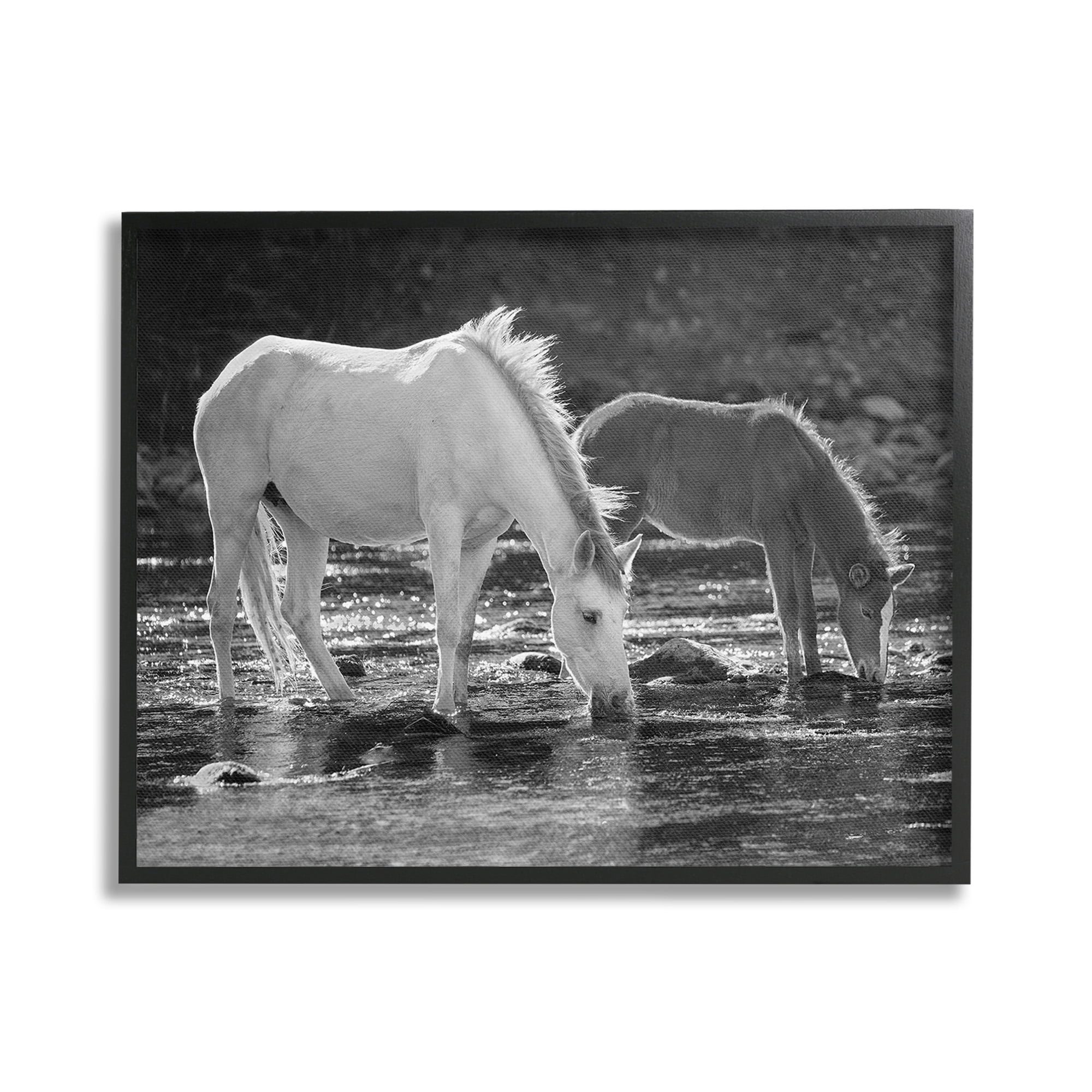 Stupell Industries Horses Drinking at Stream Animals & Insects Photography Black Framed Art Print Wall Art, 30 x 24