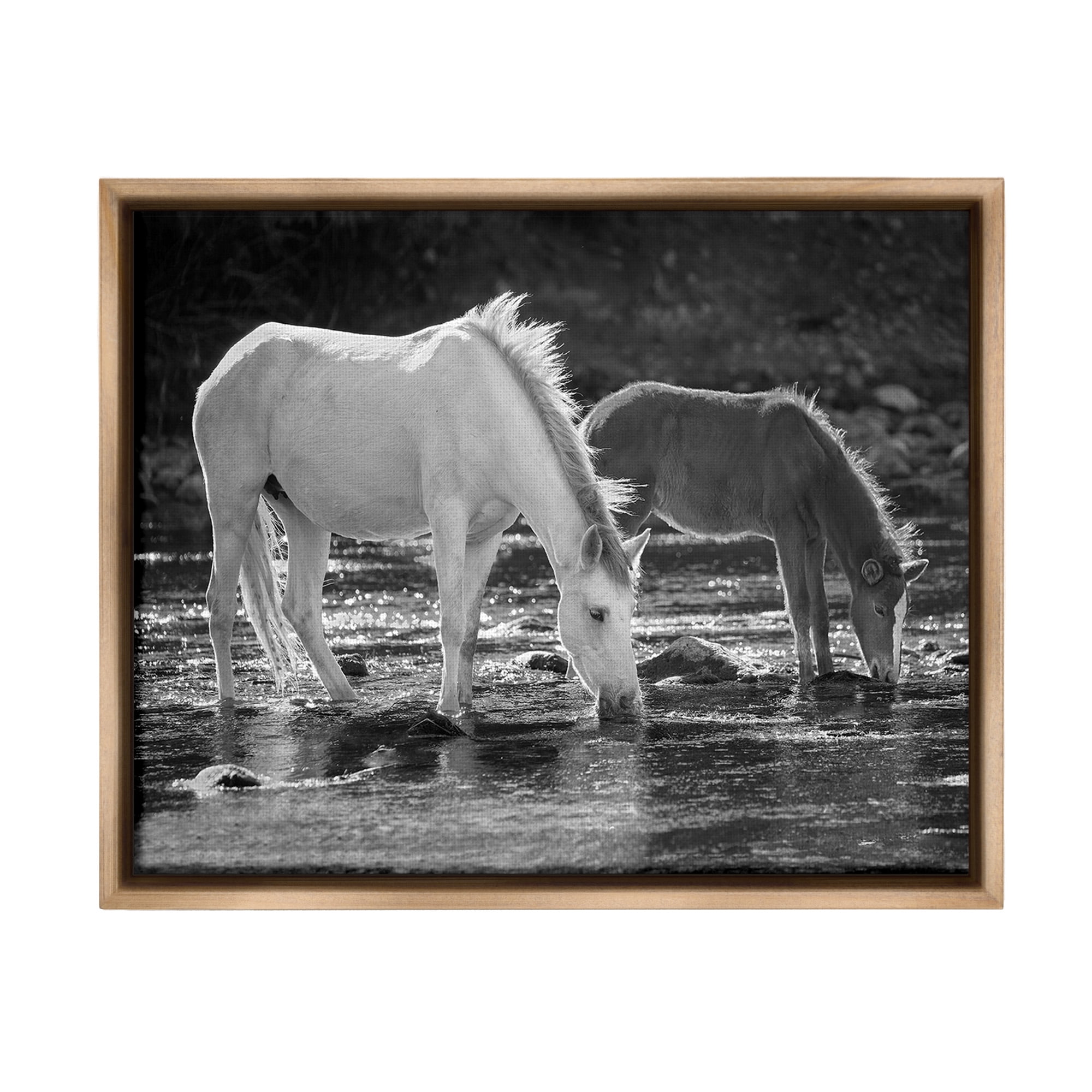 Stupell Industries Horses Drinking at Stream Animals & Insects Photography Brown Floater Framed Canvas Art Print Wall Art, 31 x 25