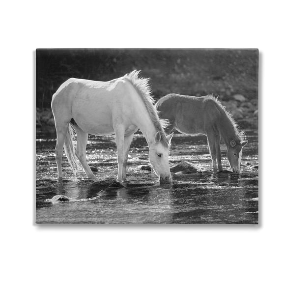 Stupell Industries Horses Drinking at Stream Animals & Insects Photography Gallery Wrapped Canvas Art Print Wall Art, 20 x 16