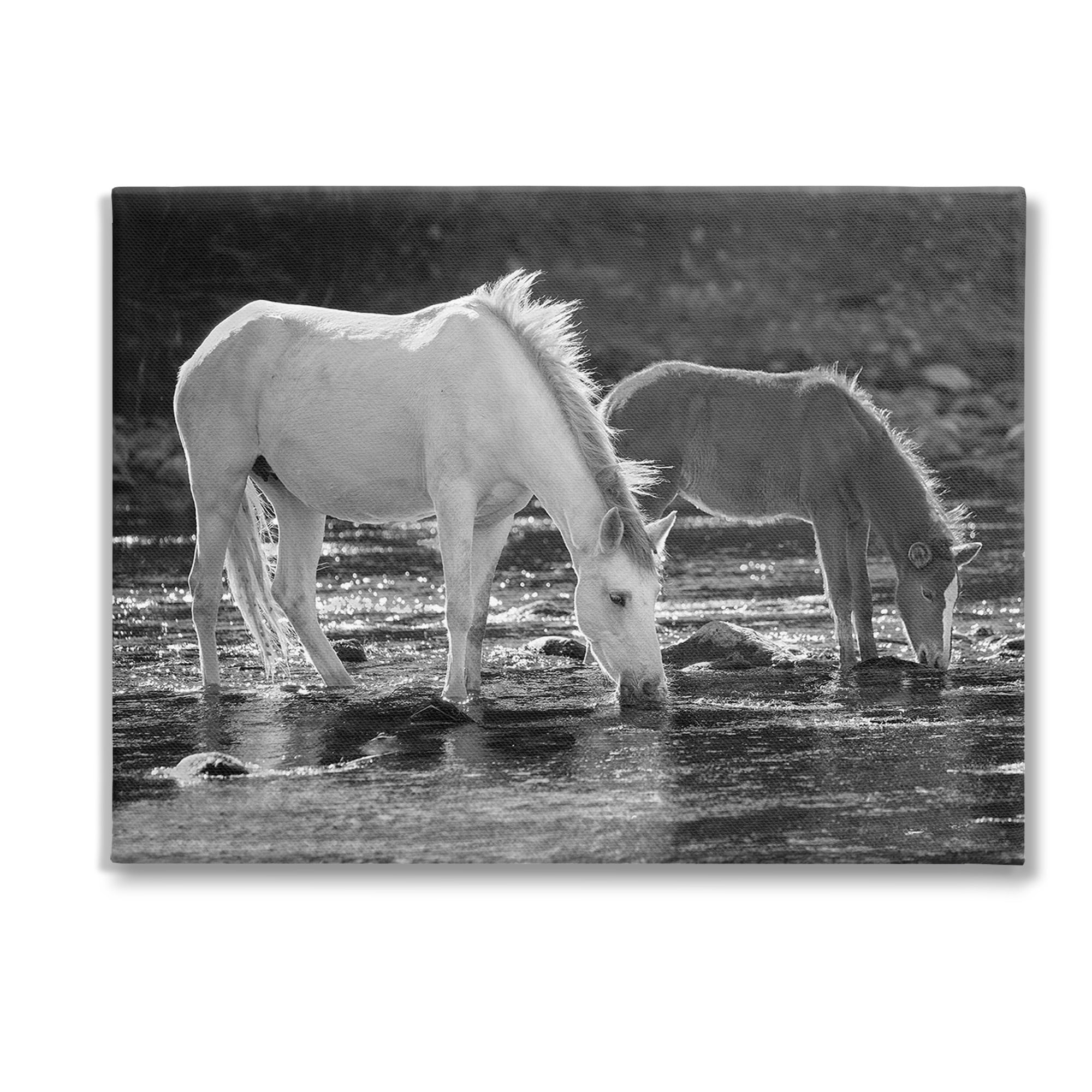 Stupell Industries Horses Drinking at Stream Animals & Insects Photography Gallery Wrapped Canvas Art Print Wall Art, 48 x 36