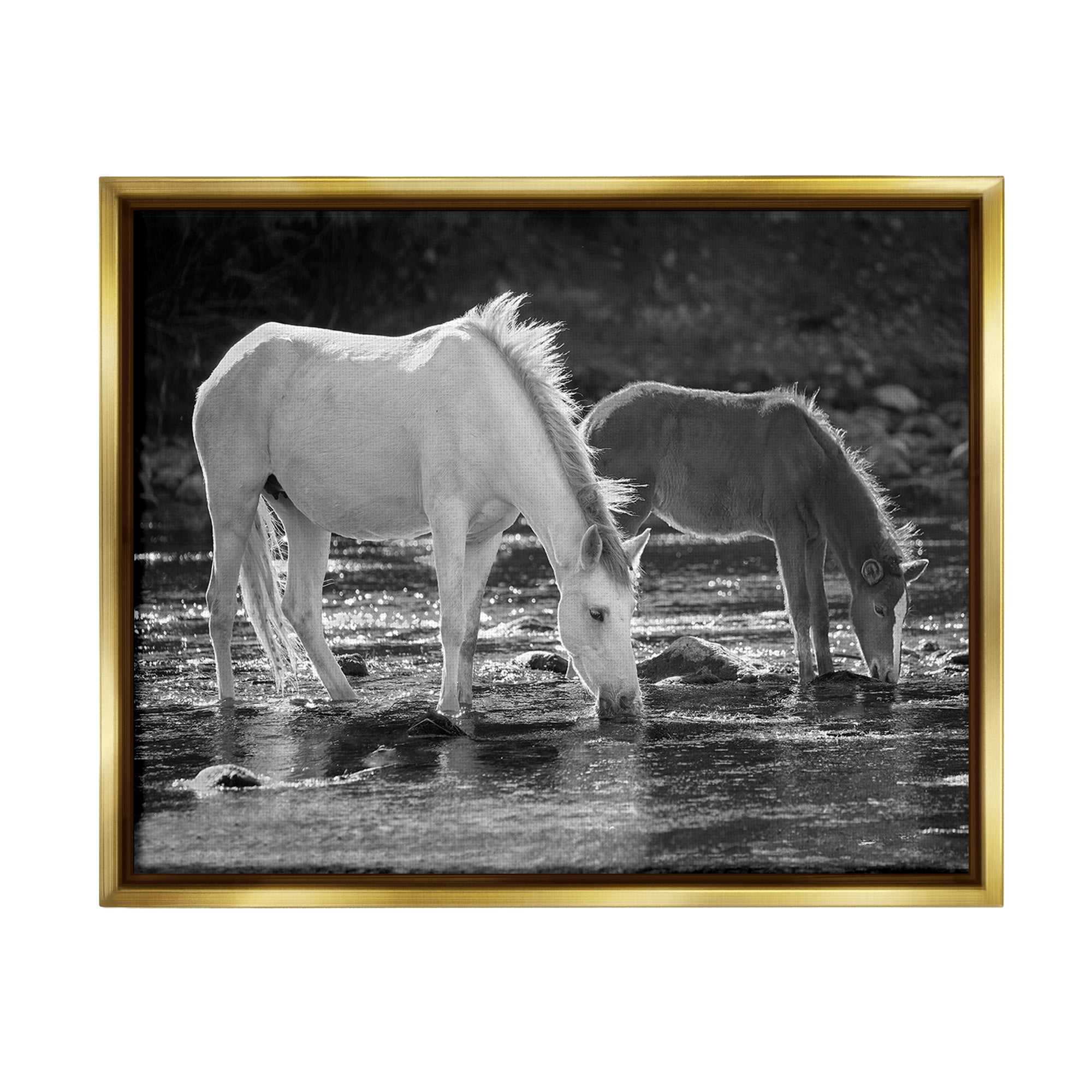 Stupell Industries Horses Drinking at Stream Animals & Insects Photography Gold Floater Framed Canvas Art Print Wall Art, 21 x 17