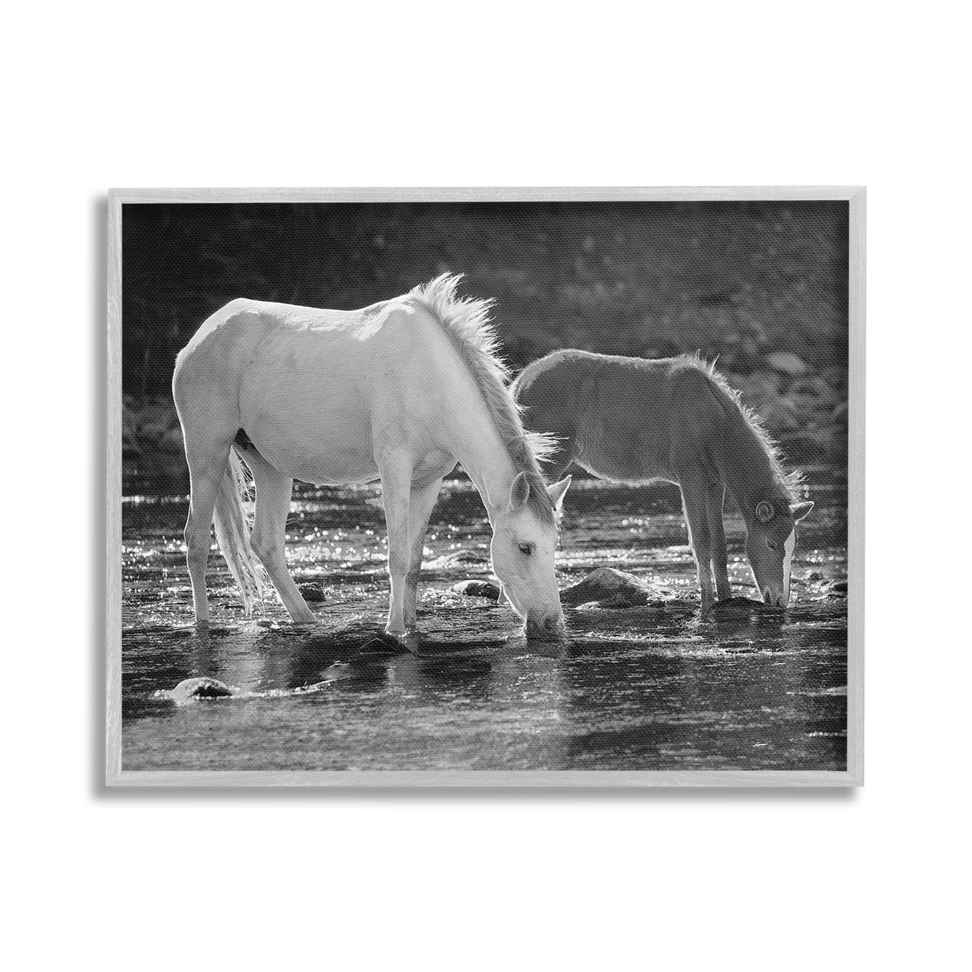 Stupell Industries Horses Drinking at Stream Animals & Insects Photography Gray Framed Art Print Wall Art, 30 x 24