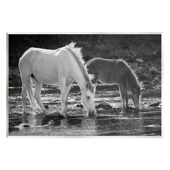 Stupell Industries Horses Drinking at Stream Animals & Insects Photography Unframed Art Print Wall Art, 15 x 10