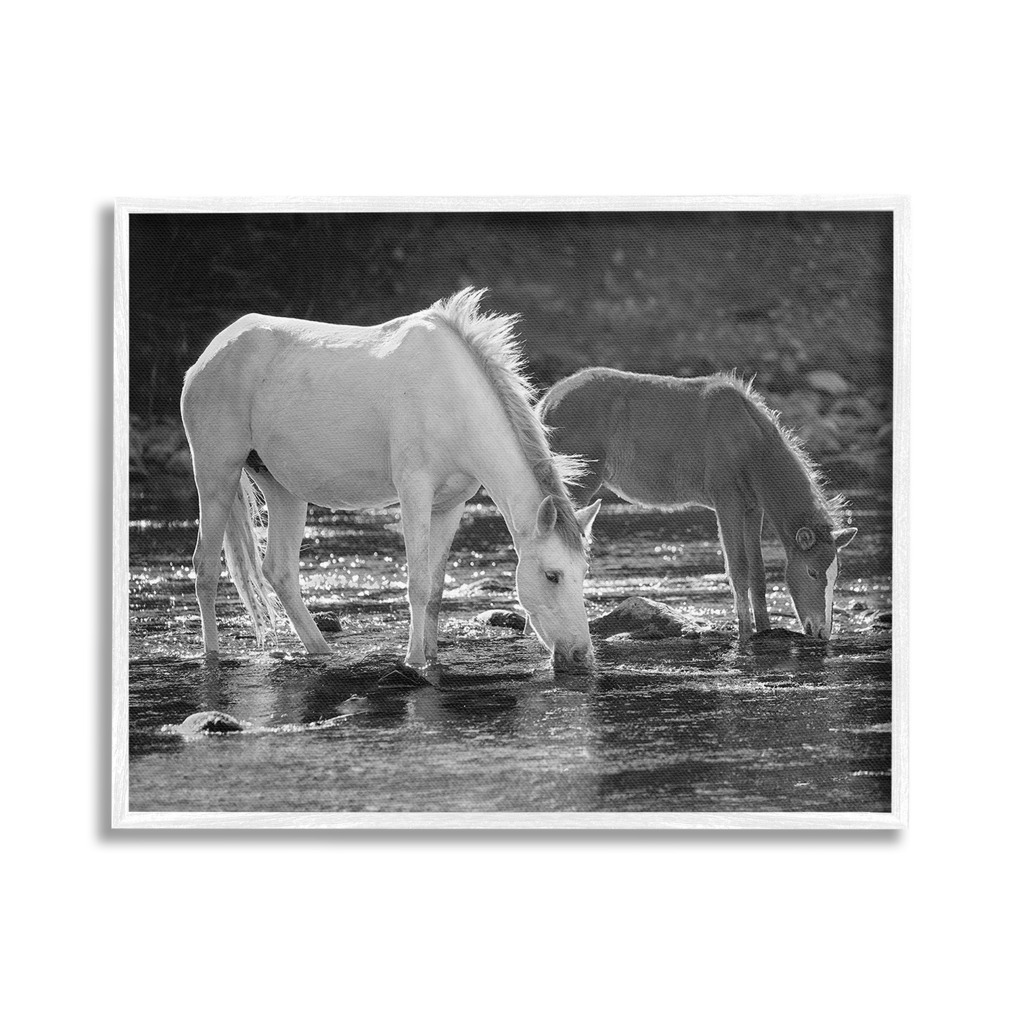Stupell Industries Horses Drinking at Stream Animals & Insects Photography White Framed Art Print Wall Art, 20 x 16