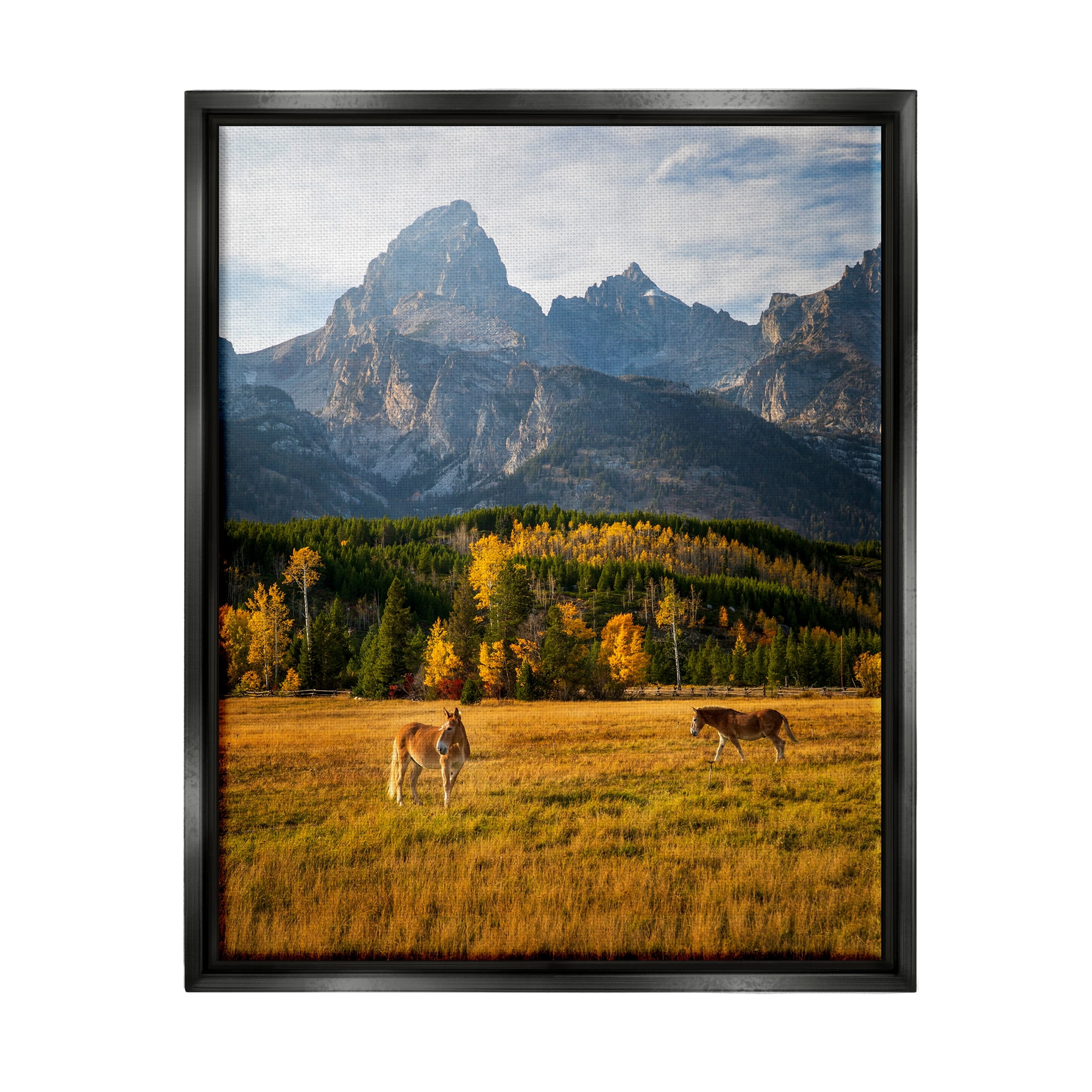 Stupell Industries Horses & Fall Foliage Landscape Photography Black Floater Framed Canvas Art Print Wall Art, 17 x 21