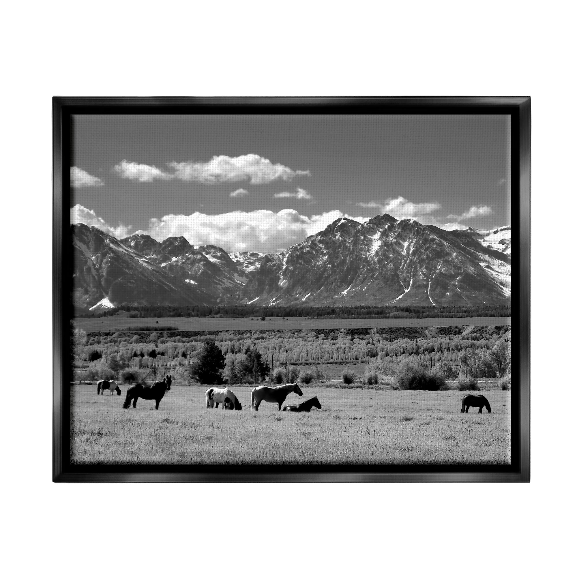 Stupell Industries Horses Grazing Countryside Landscape Photography Black Floater Framed Canvas Art Print Wall Art, 21 x 17