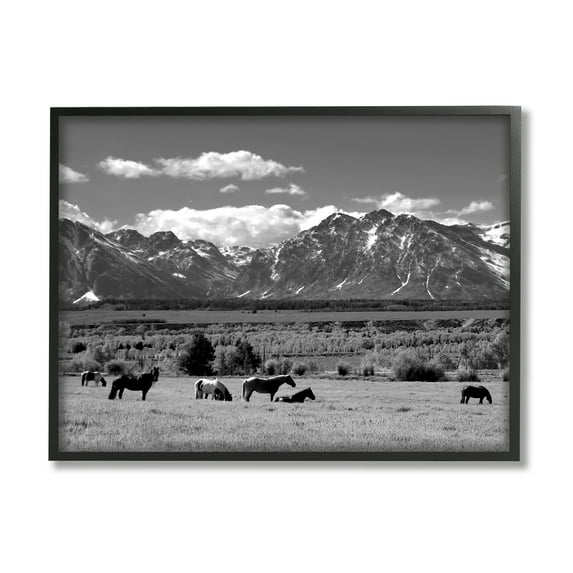 Stupell Industries Horses Grazing Countryside Landscape Photography Black Framed Art Print Wall Art, 20 x 16