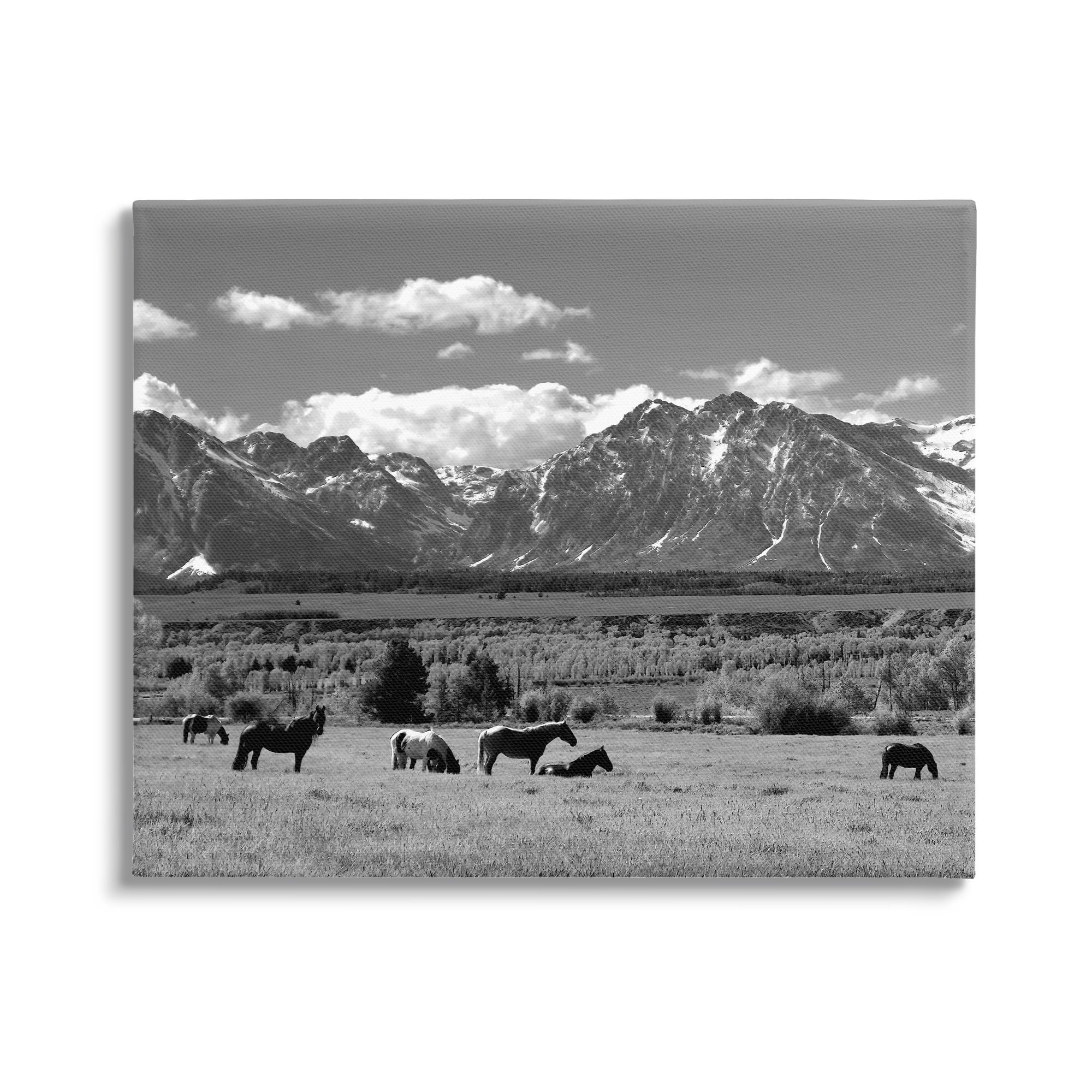 Stupell Industries Horses Grazing Countryside Landscape Photography Gallery Wrapped Canvas Art Print Wall Art, 20 x 16
