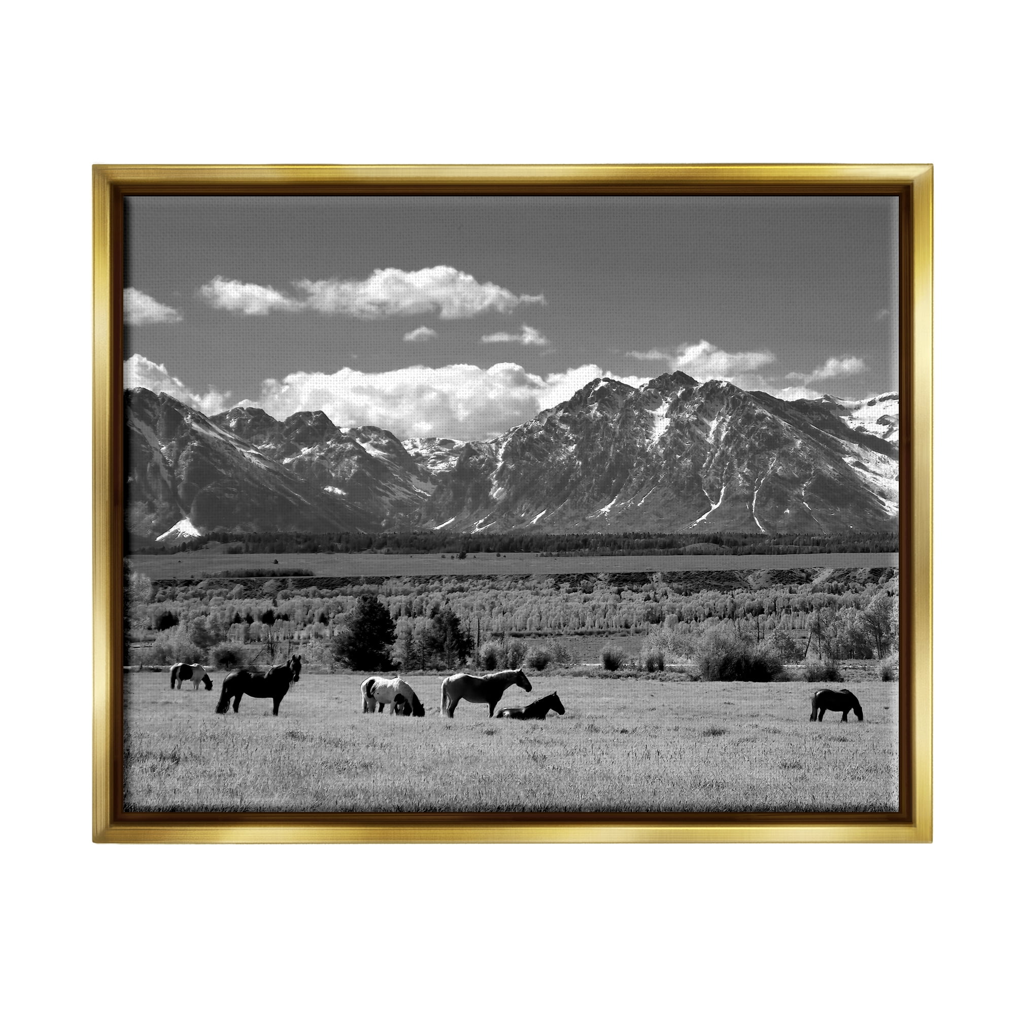Stupell Industries Horses Grazing Countryside Landscape Photography Gold Floater Framed Canvas Art Print Wall Art, 21 x 17