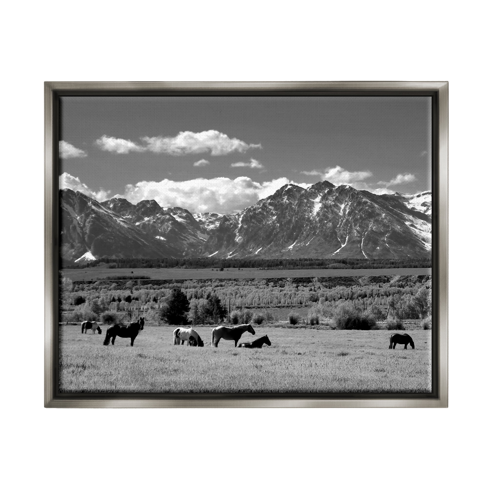 Stupell Industries Horses Grazing Countryside Landscape Photography Gray Floater Framed Canvas Art Print Wall Art, 21 x 17
