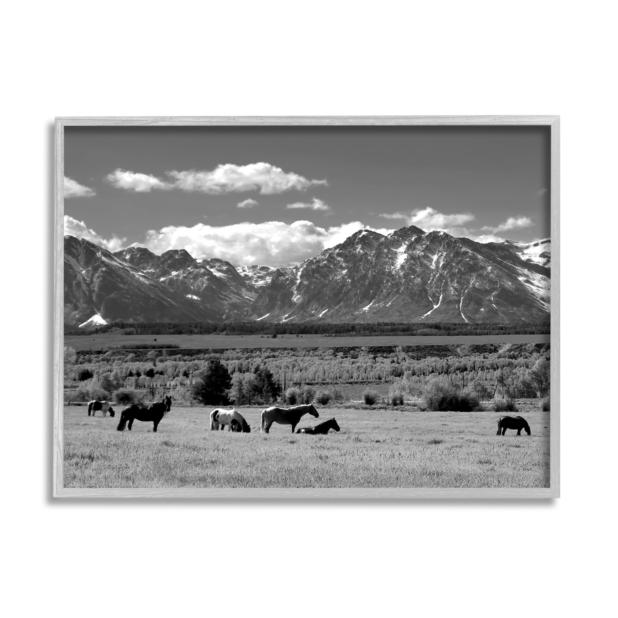 Stupell Industries Horses Grazing Countryside Landscape Photography Gray Framed Art Print Wall Art, 14 x 11