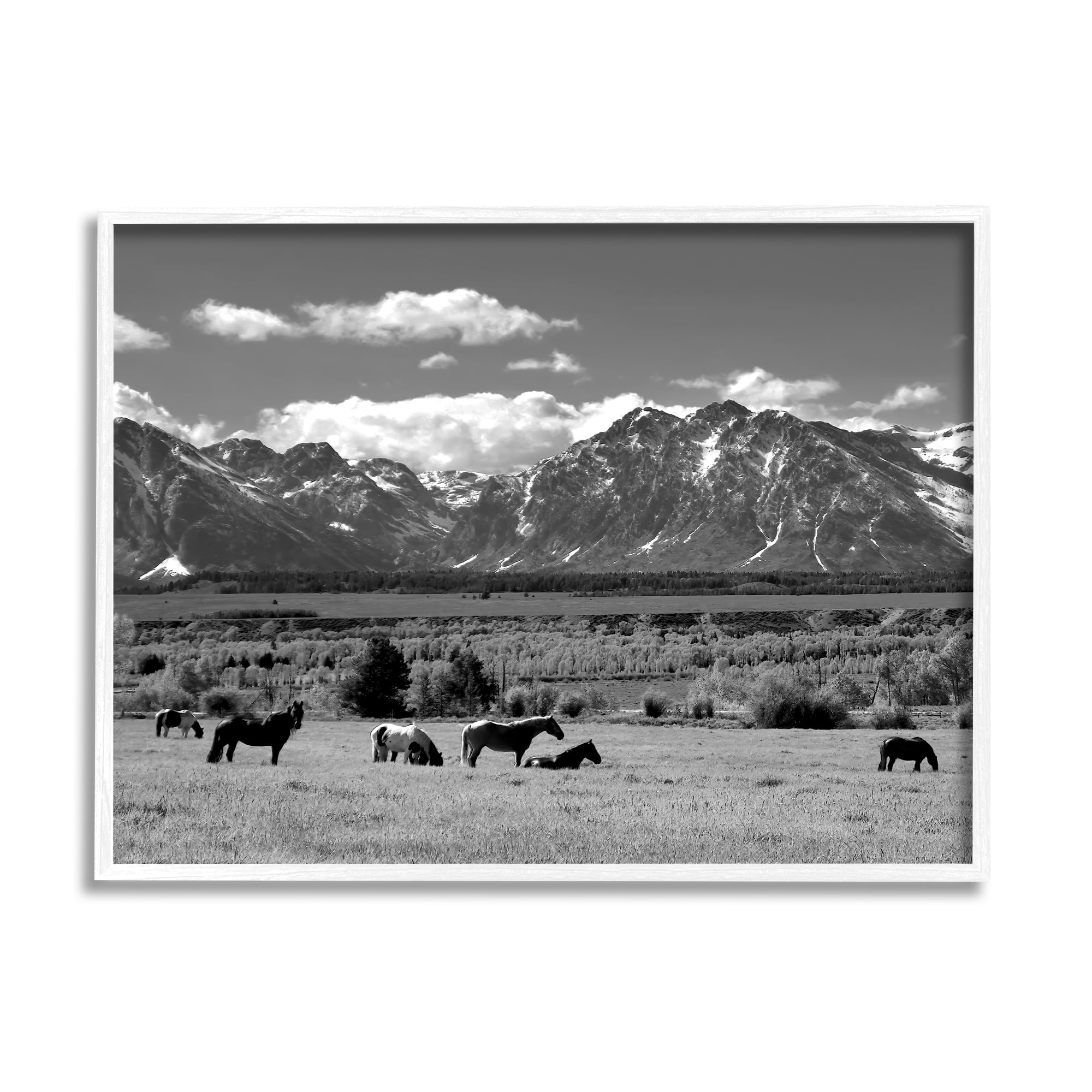 Stupell Industries Horses Grazing Countryside Landscape Photography White Framed Art Print Wall Art, 30 x 24