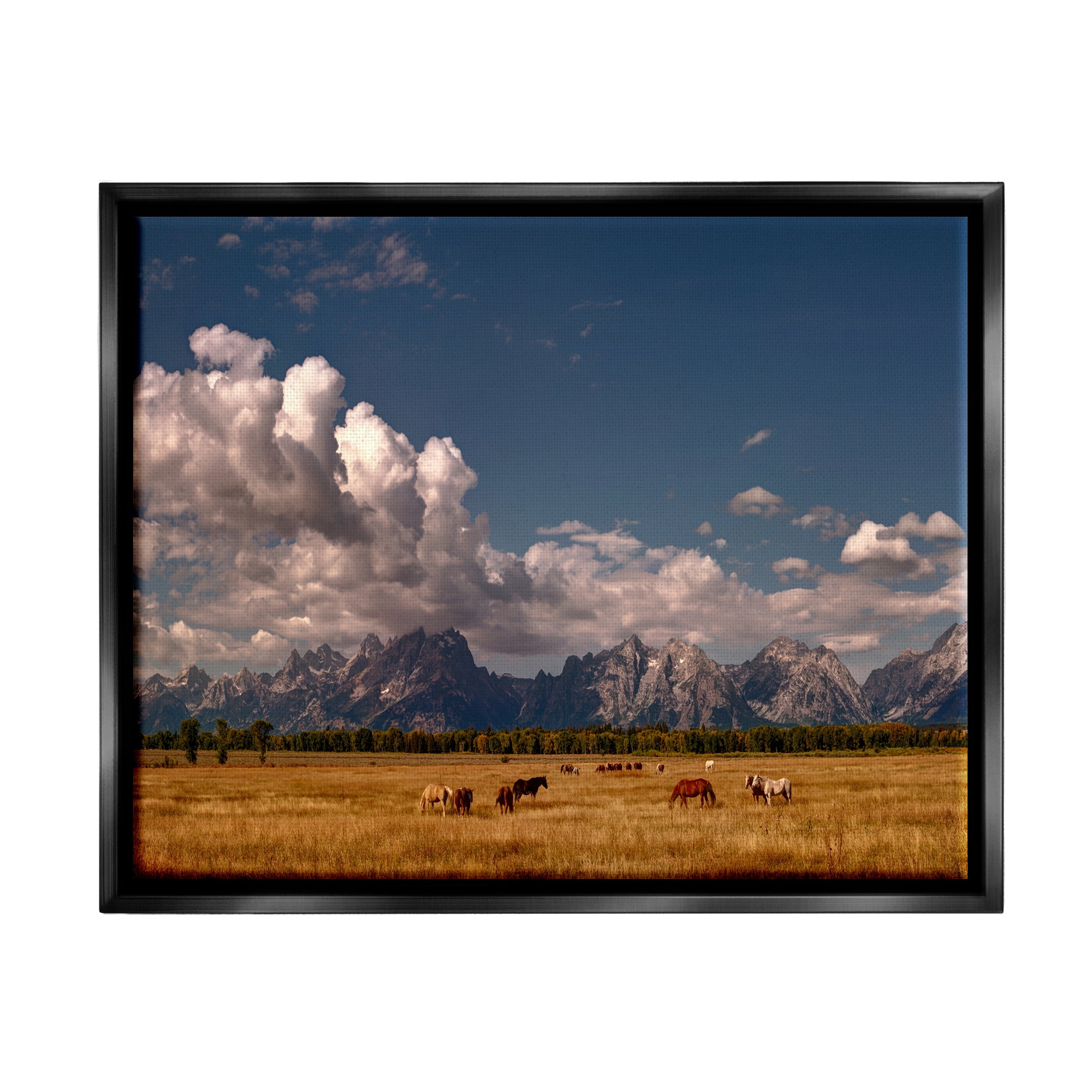 Stupell Industries Horses Grazing Mountain View Nature Photography Black Floater Framed Art Print Wall Art, 21 x 17