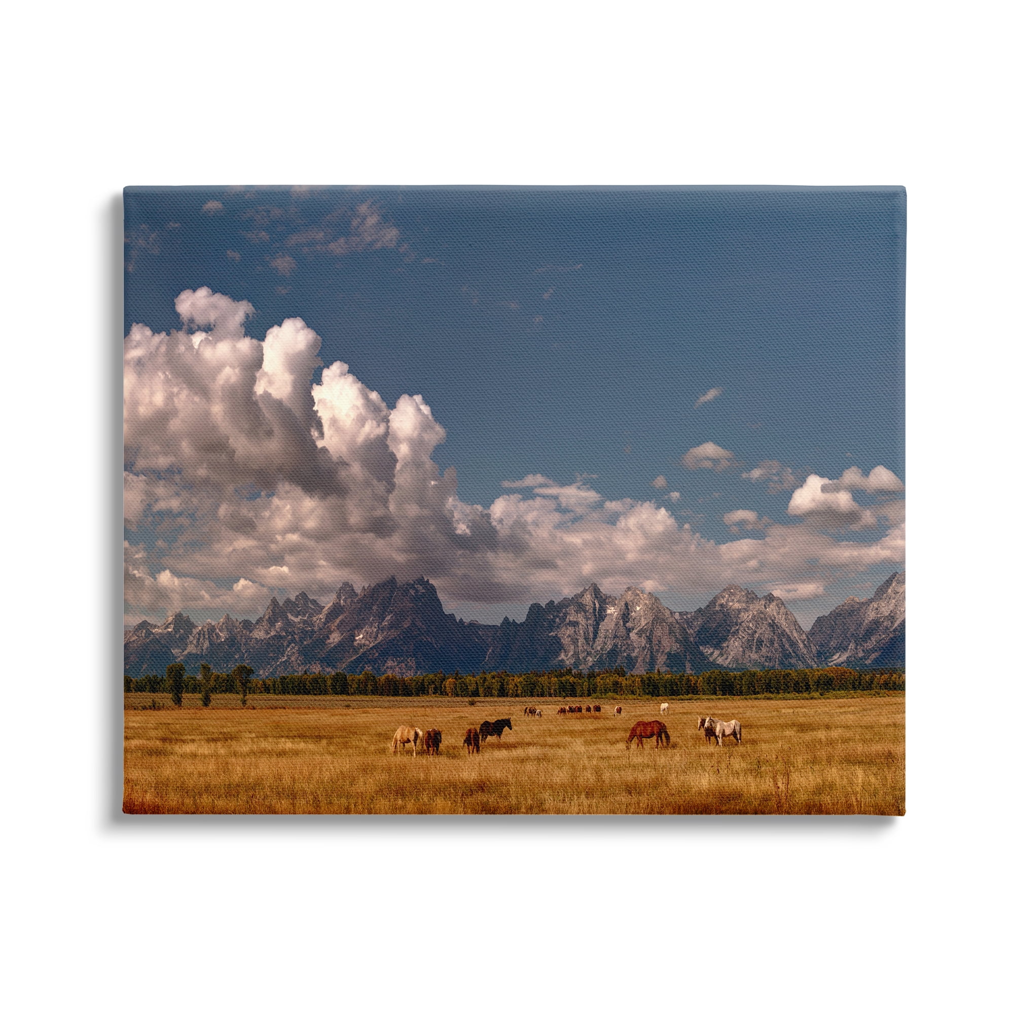 Stupell Industries Horses Grazing Mountain View Nature Photography Gallery Wrapped Canvas Print Wall Art, 48 x 36