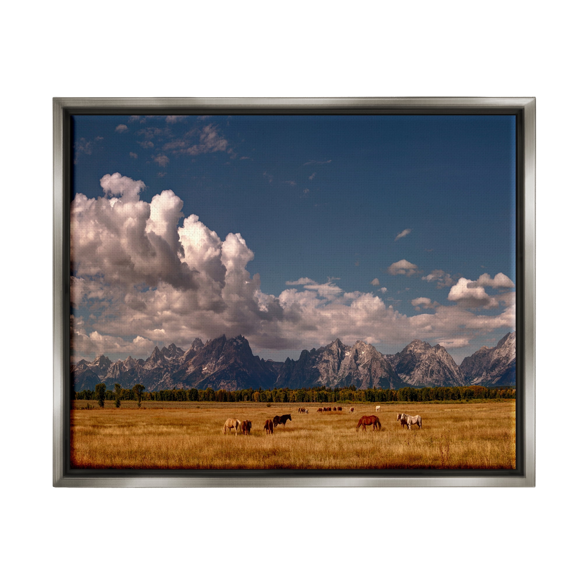 Stupell Industries Horses Grazing Mountain View Nature Photography Gray Floater Framed Art Print Wall Art, 31 x 25