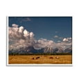 thumbnail image 1 of Stupell Industries Horses Grazing Mountain View Nature Photography White Framed Art Print Wall Art, 14 x 11, 1 of 8