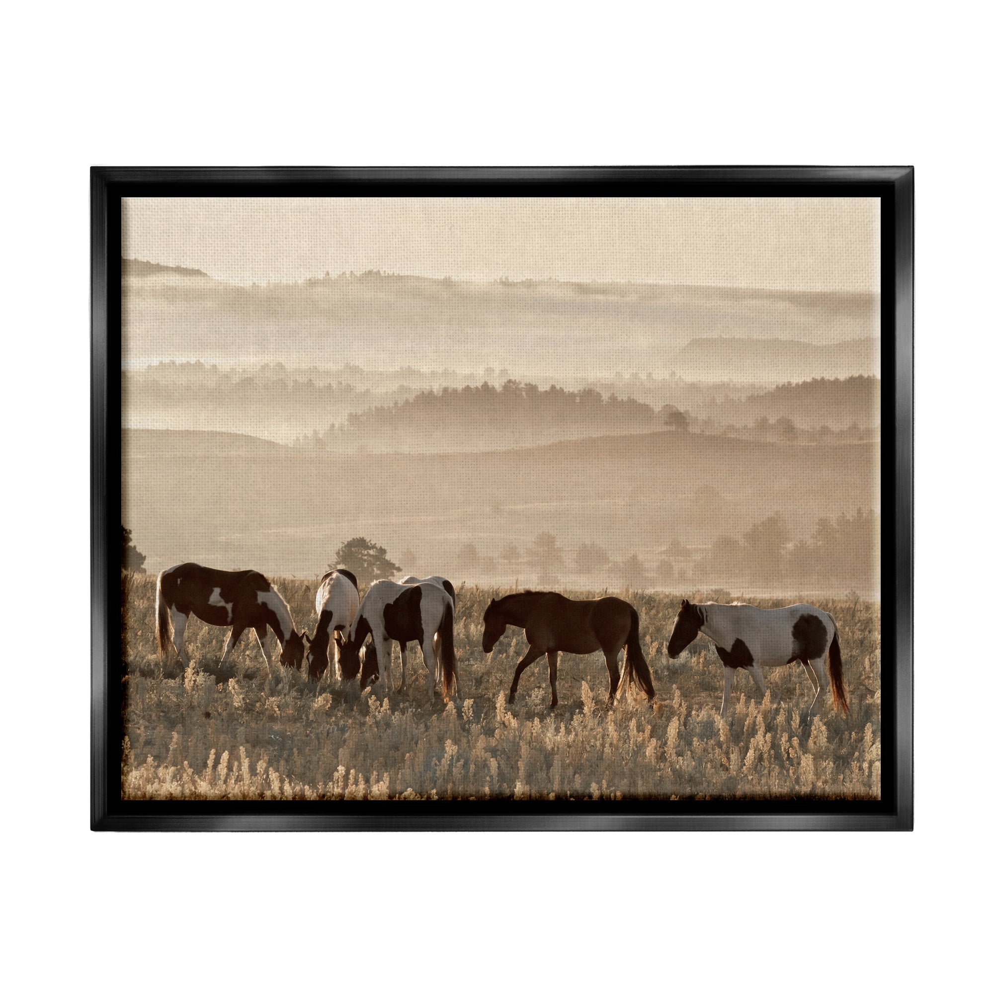 Stupell Industries Horses Grazing Rolling Hills Animals & Insects Photography Black Floater Framed Canvas Art Print Wall Art, 31 x 25