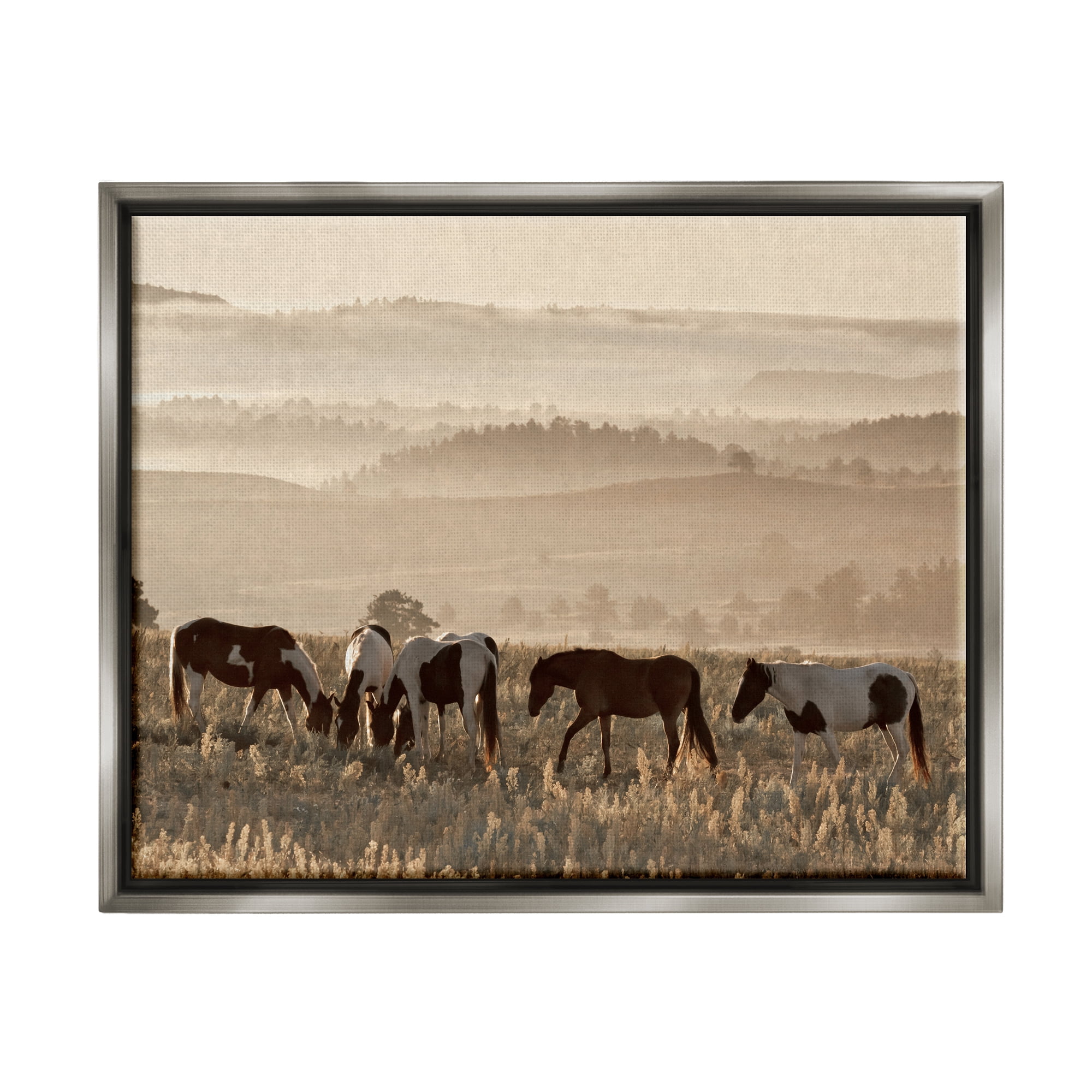 Stupell Industries Horses Grazing Rolling Hills Animals & Insects Photography Gray Floater Framed Canvas Art Print Wall Art, 31 x 25