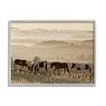 thumbnail image 1 of Stupell Industries Horses Grazing Rolling Hills Animals & Insects Photography Gray Framed Art Print Wall Art, 20 x 16, 1 of 9