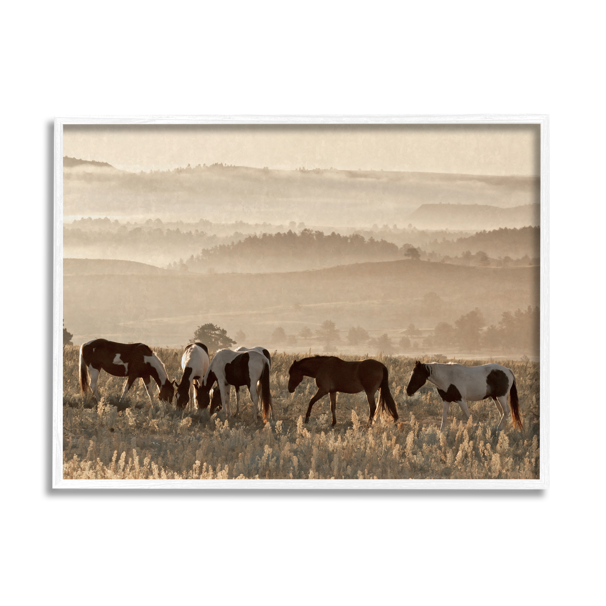 Stupell Industries Horses Grazing Rolling Hills Animals & Insects Photography White Framed Art Print Wall Art, 20 x 16