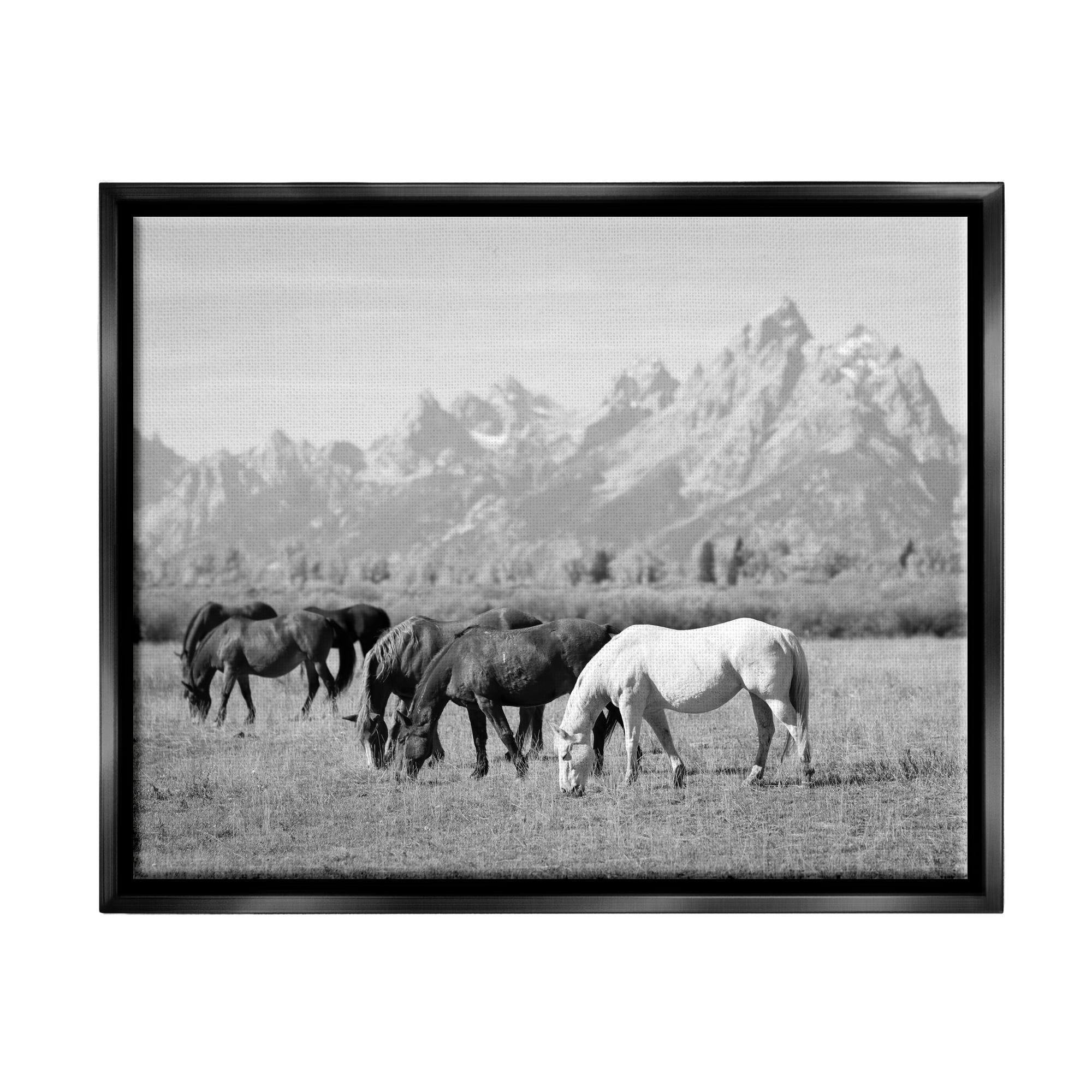 Stupell Industries Horses Grazing by Mountains Animals & Insects Photography Black Floater Framed Canvas Art Print Wall Art, 21 x 17