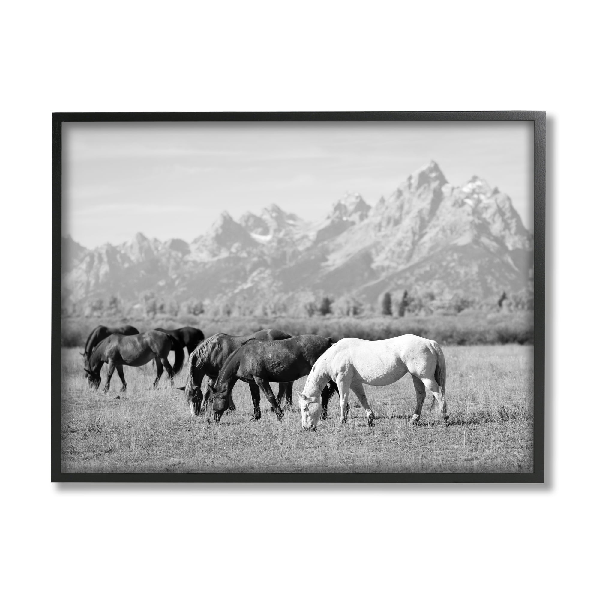 Stupell Industries Horses Grazing by Mountains Animals & Insects Photography Black Framed Art Print Wall Art, 20 x 16