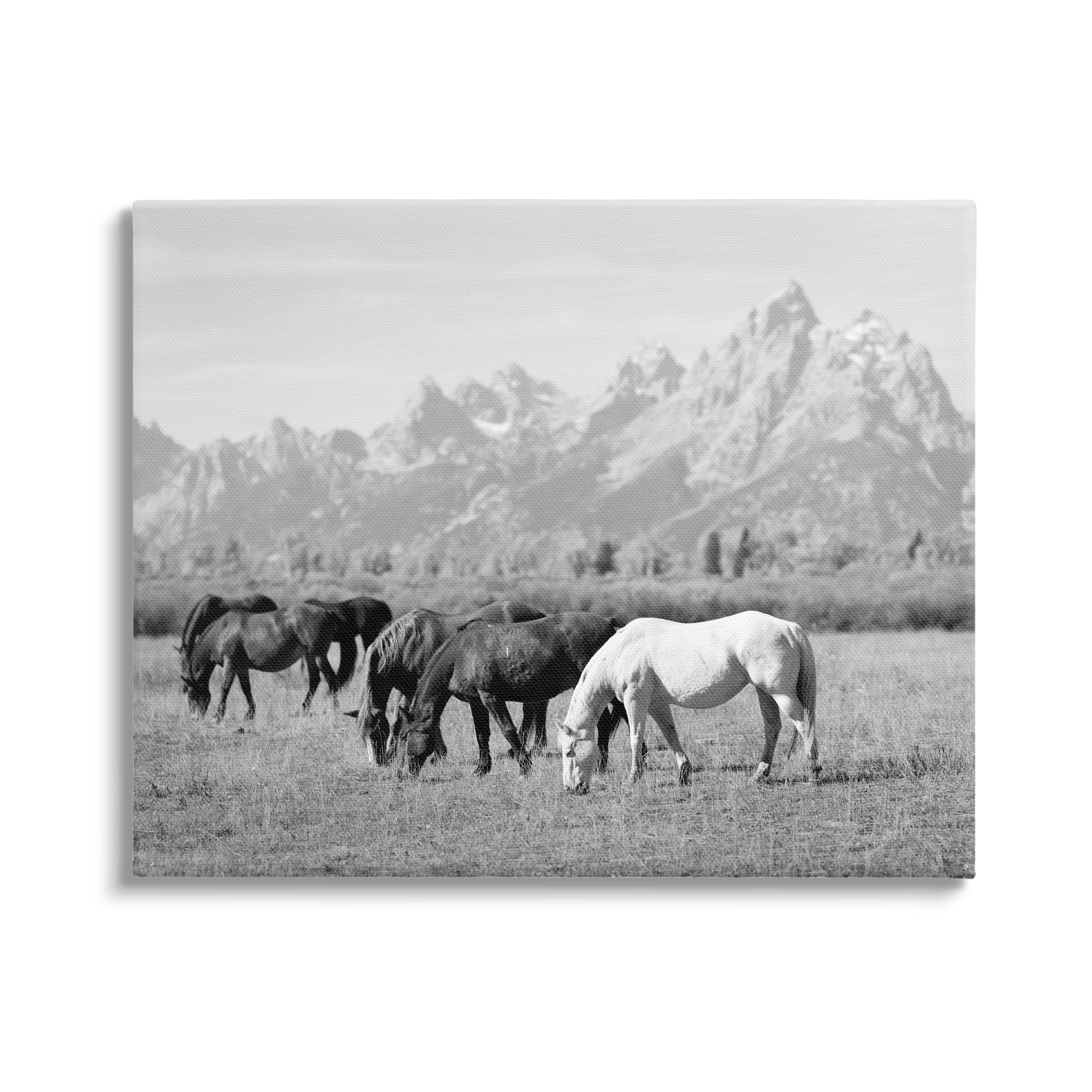Stupell Industries Horses Grazing by Mountains Animals & Insects Photography Gallery Wrapped Canvas Art Print Wall Art, 48 x 36