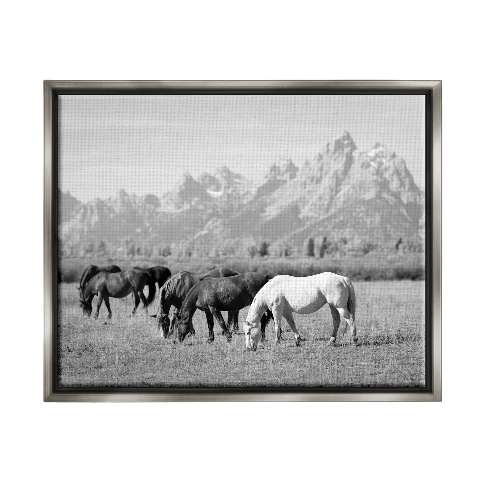 Stupell Industries Horses Grazing by Mountains Animals & Insects Photography Gray Floater Framed Canvas Art Print Wall Art, 21 x 17