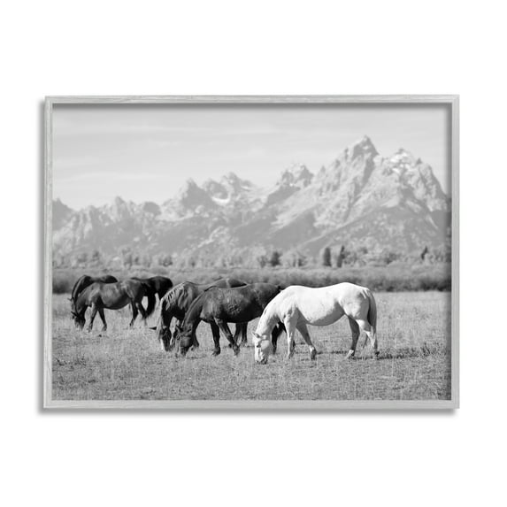 Stupell Industries Horses Grazing by Mountains Animals & Insects Photography Gray Framed Art Print Wall Art, 14 x 11