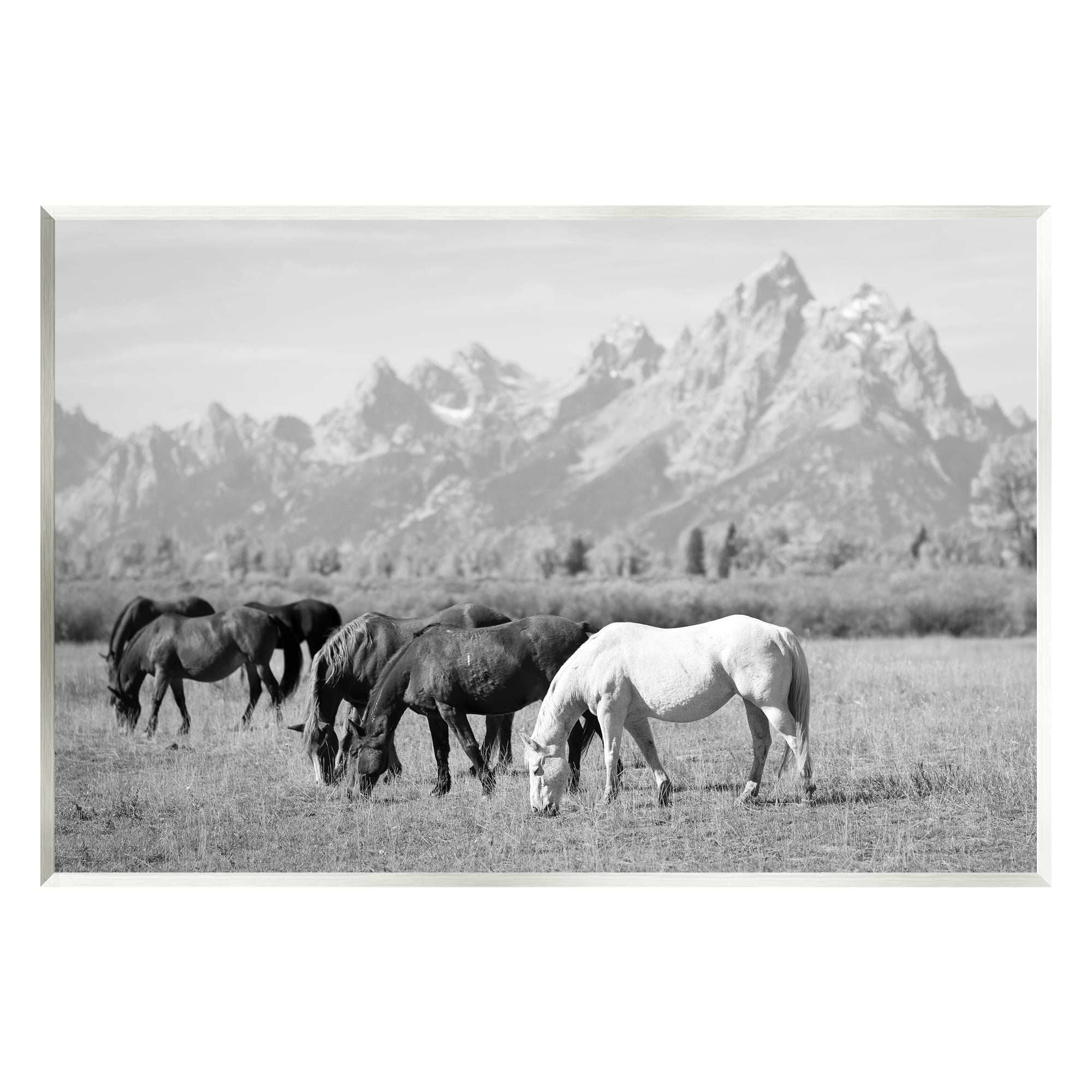 Stupell Industries Horses Grazing by Mountains Animals & Insects Photography Unframed Art Print Wall Art, 19 x 13