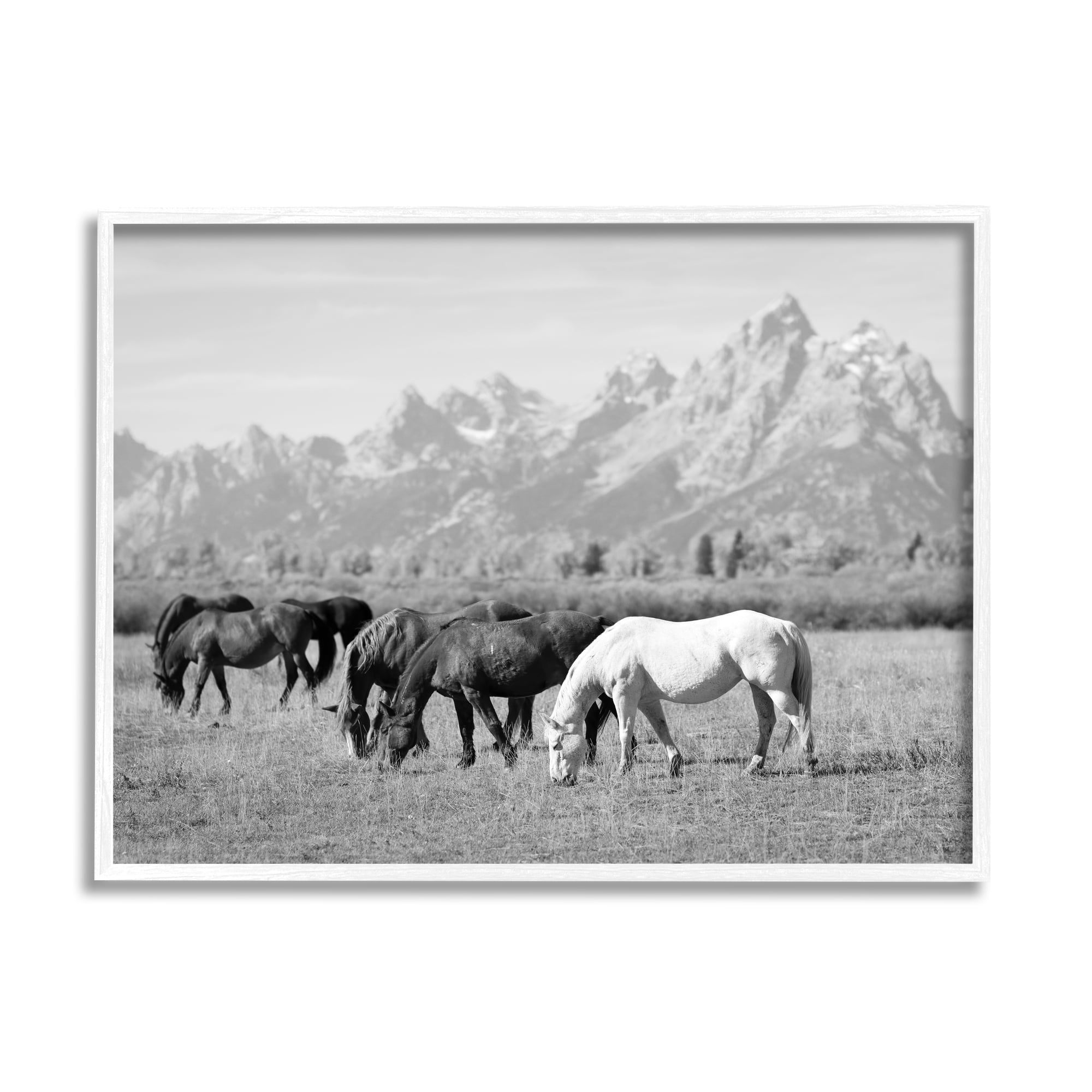 Stupell Industries Horses Grazing by Mountains Animals & Insects Photography White Framed Art Print Wall Art, 20 x 16