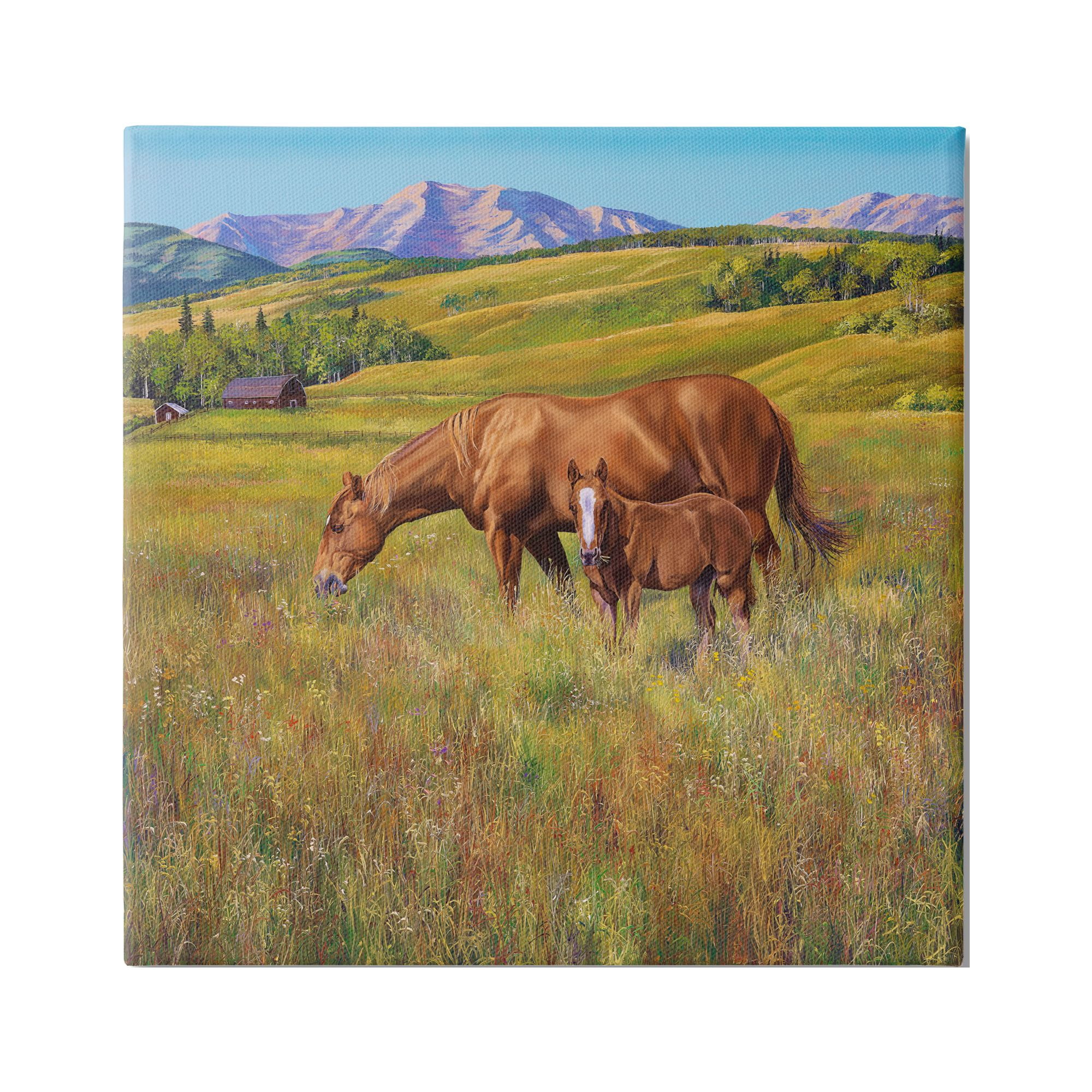 Stupell Industries Horses Grazing in Meadow Animals & Insects Painting Gallery Wrapped Canvas Print Wall Art, 24 x 24